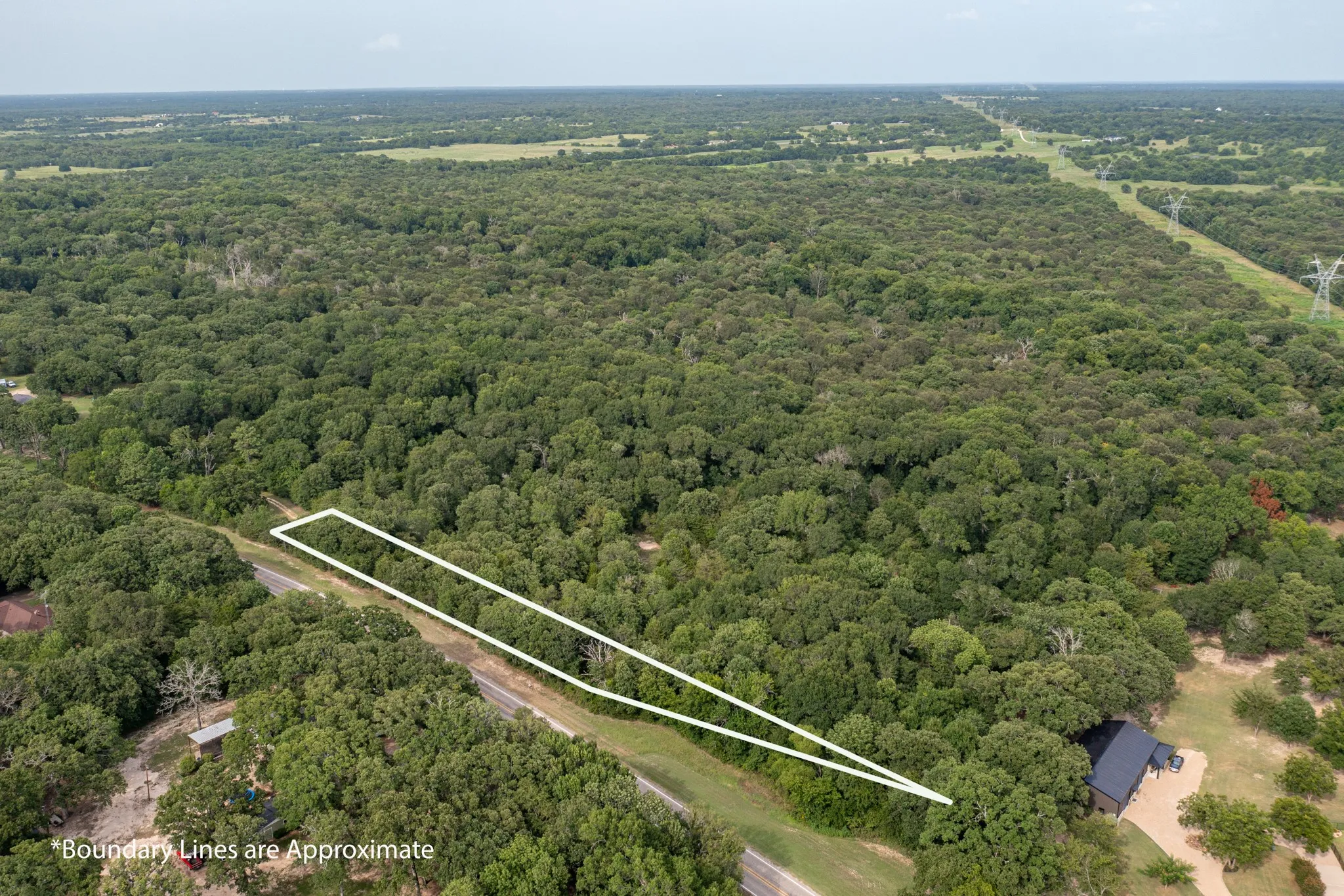 Wooded land parcel with direct road frontage