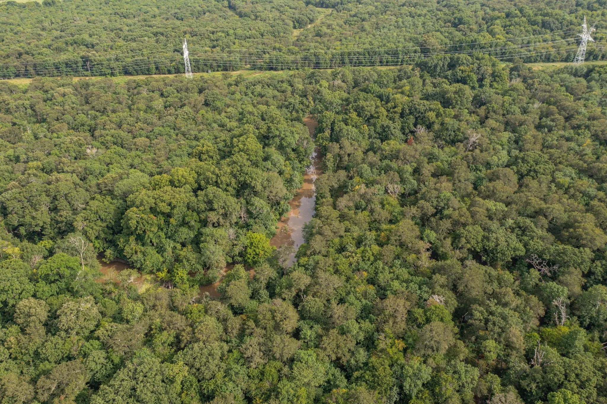 Expansive wooded acreage featuring mature trees and a natural watercourse
