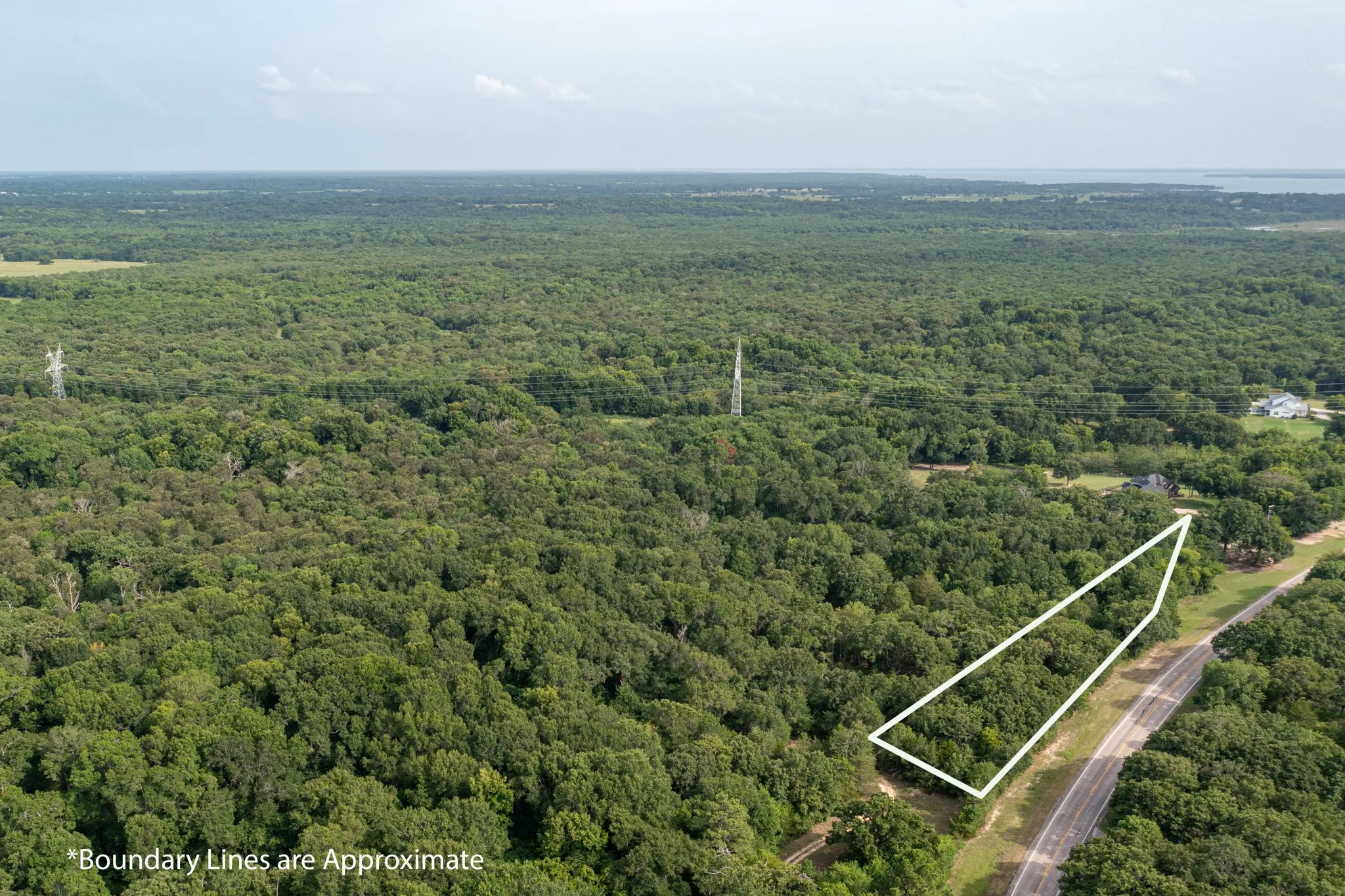 Expansive wooded lot offering natural tree coverage and direct road frontage