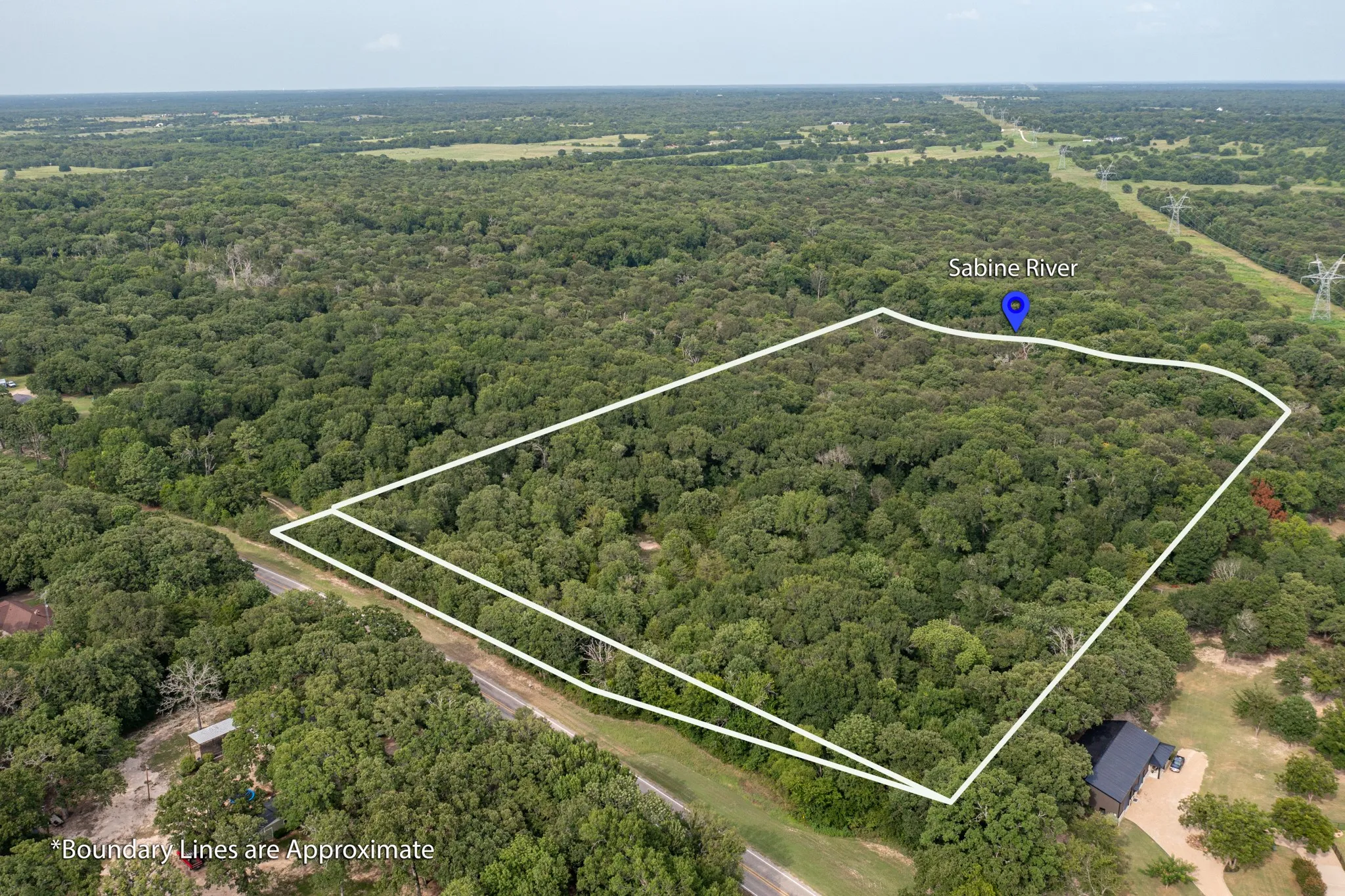 Expansive wooded acreage featuring dense tree cover and a delineated boundary