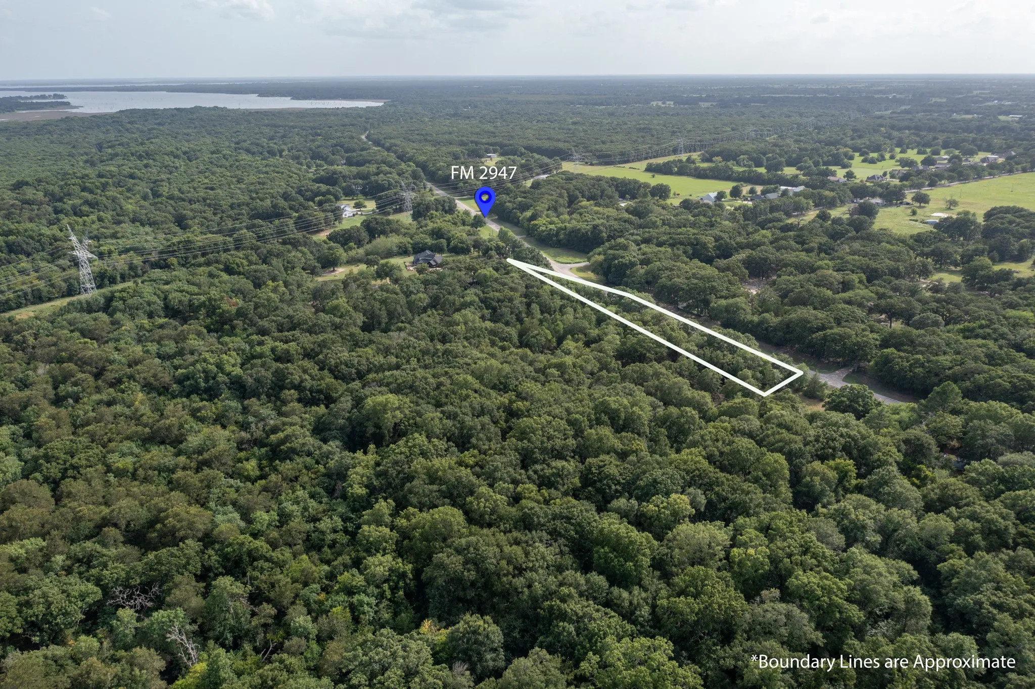 Expansive wooded acreage featuring dense tree coverage