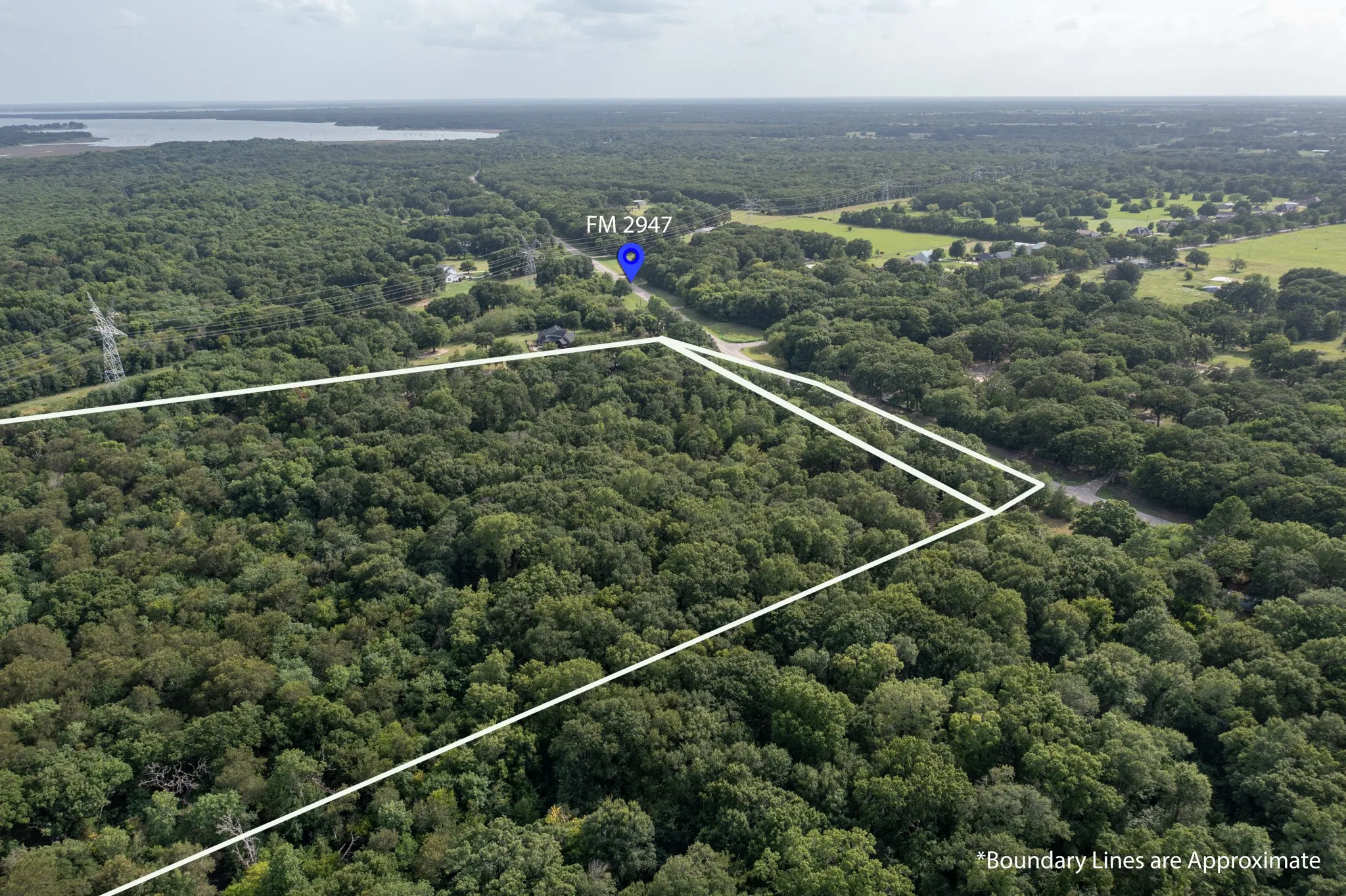 Expansive wooded acreage featuring dense tree coverage