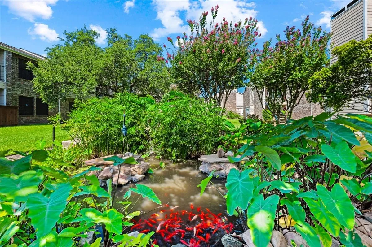 Community Koi pond