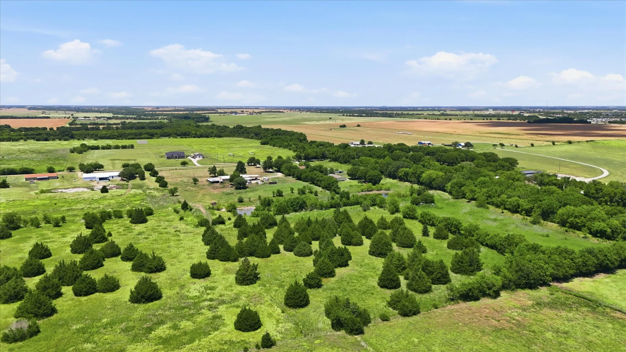 Expansive rural landscape featuring a mix of open fields, scattered evergreen trees, and dense tree lines