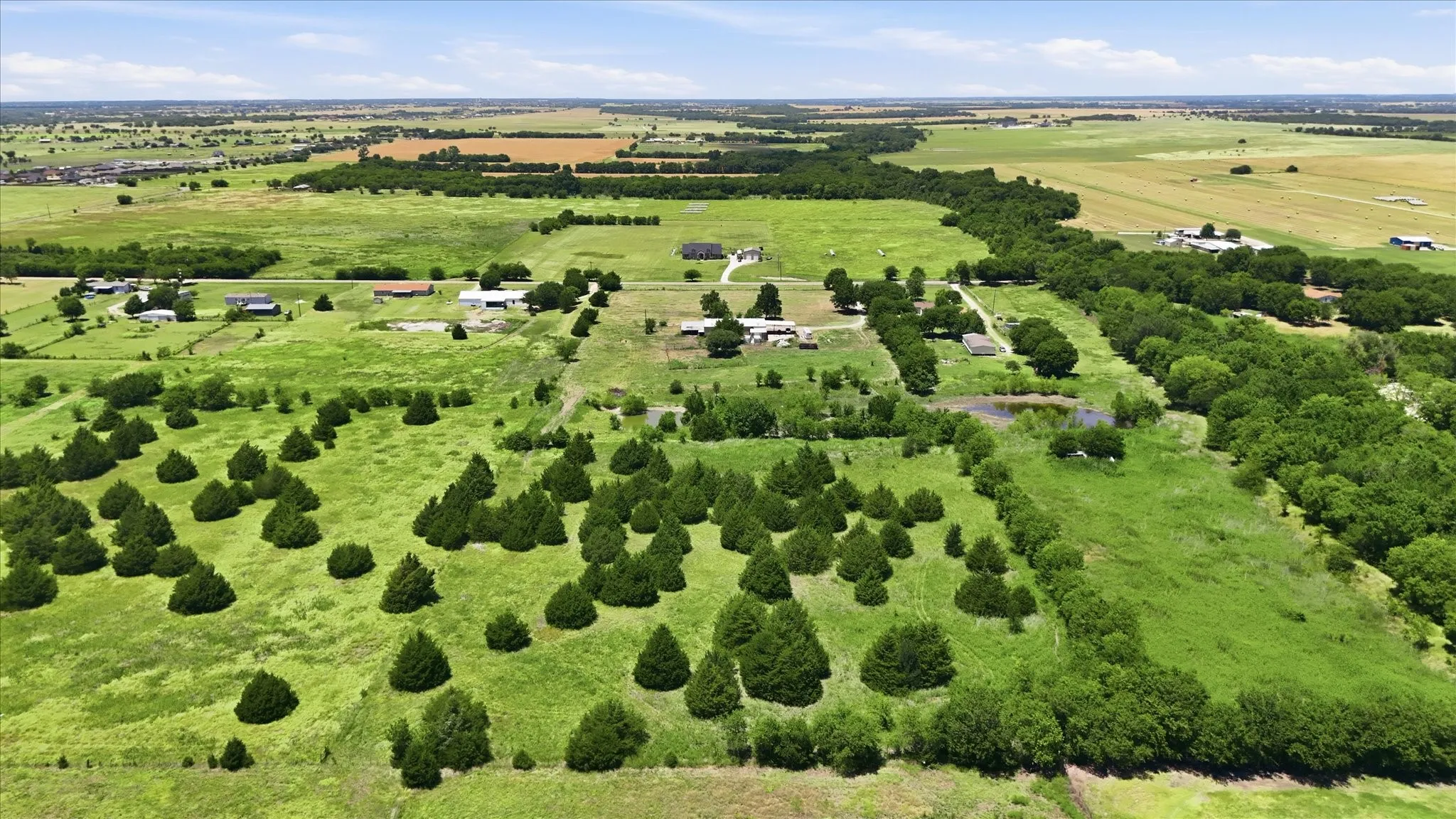 Expansive acreage featuring scattered evergreen trees and vast open fields