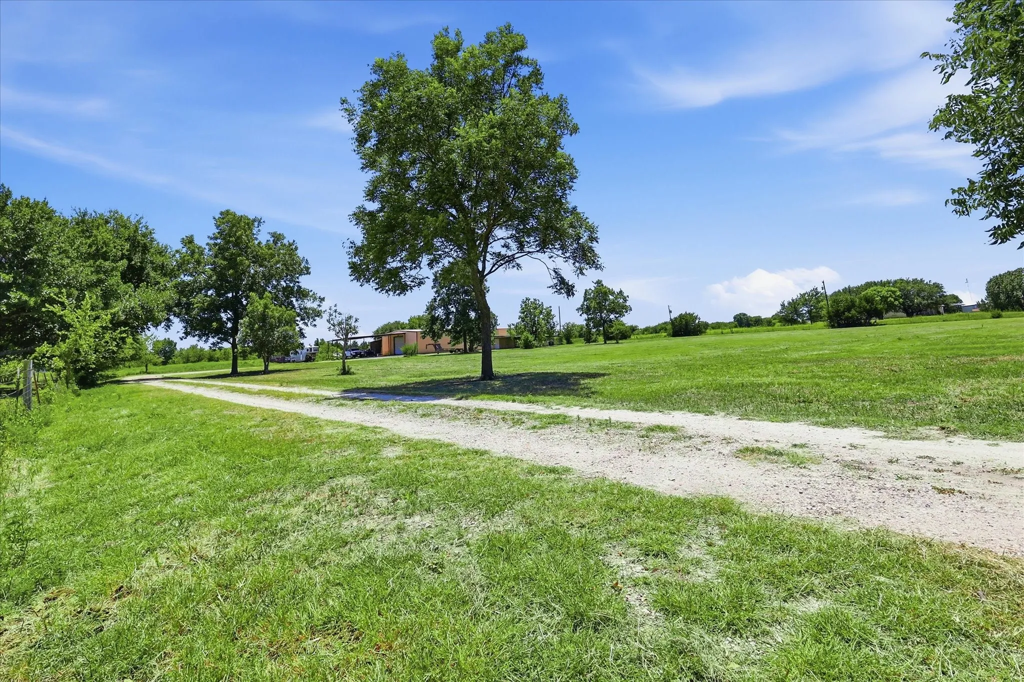 Expansive green pastureland with a gravel drive, dotted with mature deciduous trees and distant structures