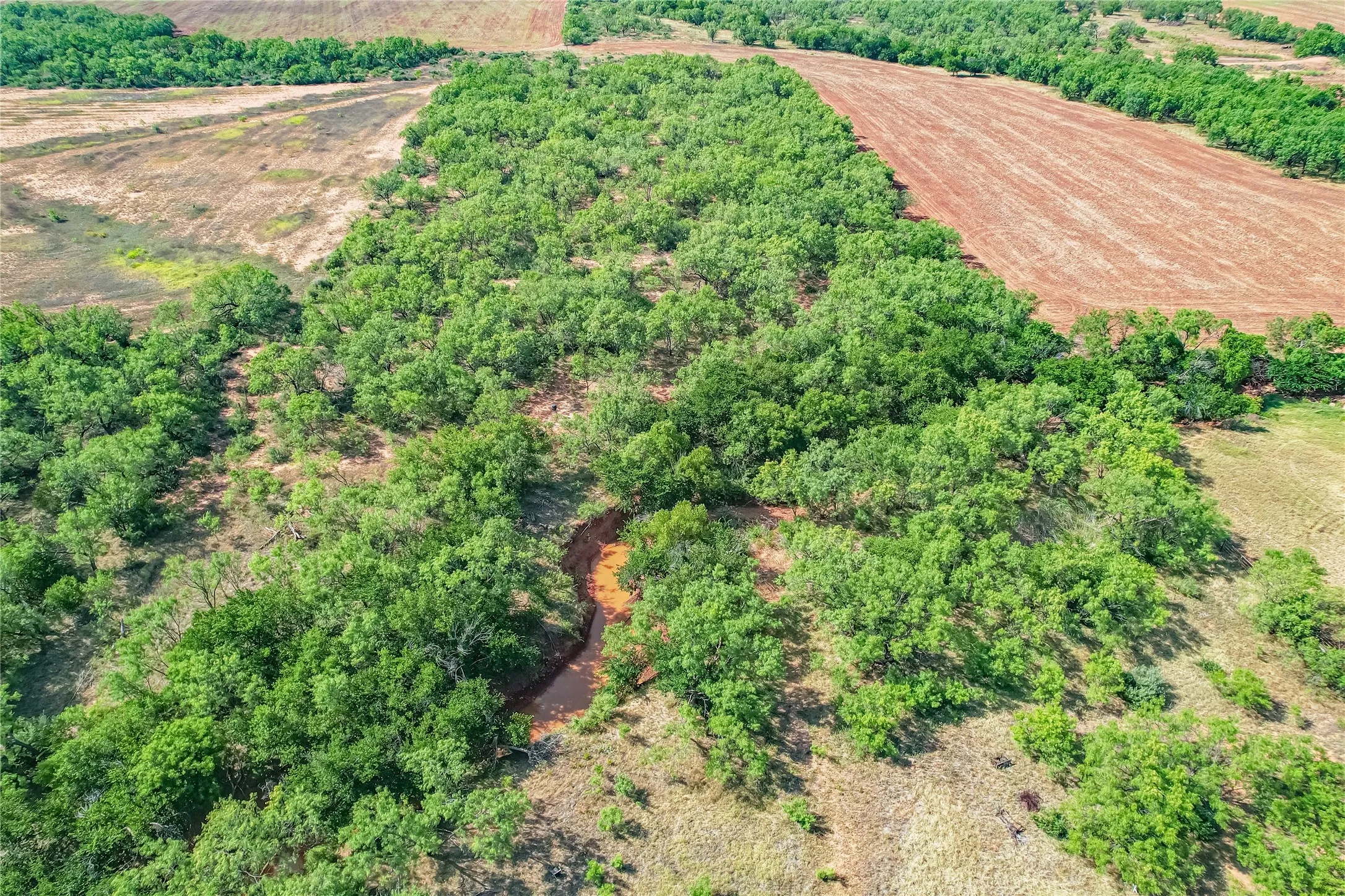 Single Family Residence For Sale in Taylor County , 1195 County Road 415, Merkel, Texas 79536, 3 Bedroom, 2 Bathroom, Garage spaces, 1,816 Sqft, built in 1960, mls#21325798, Real Estate Agent in Merkel, Homes For Sale in Taylor county, Homes For Sale in Merkel, Realtor in Merkel Texas, Real Estate Brokerage Independent Realty Texas, Luminita Cordes Realtor