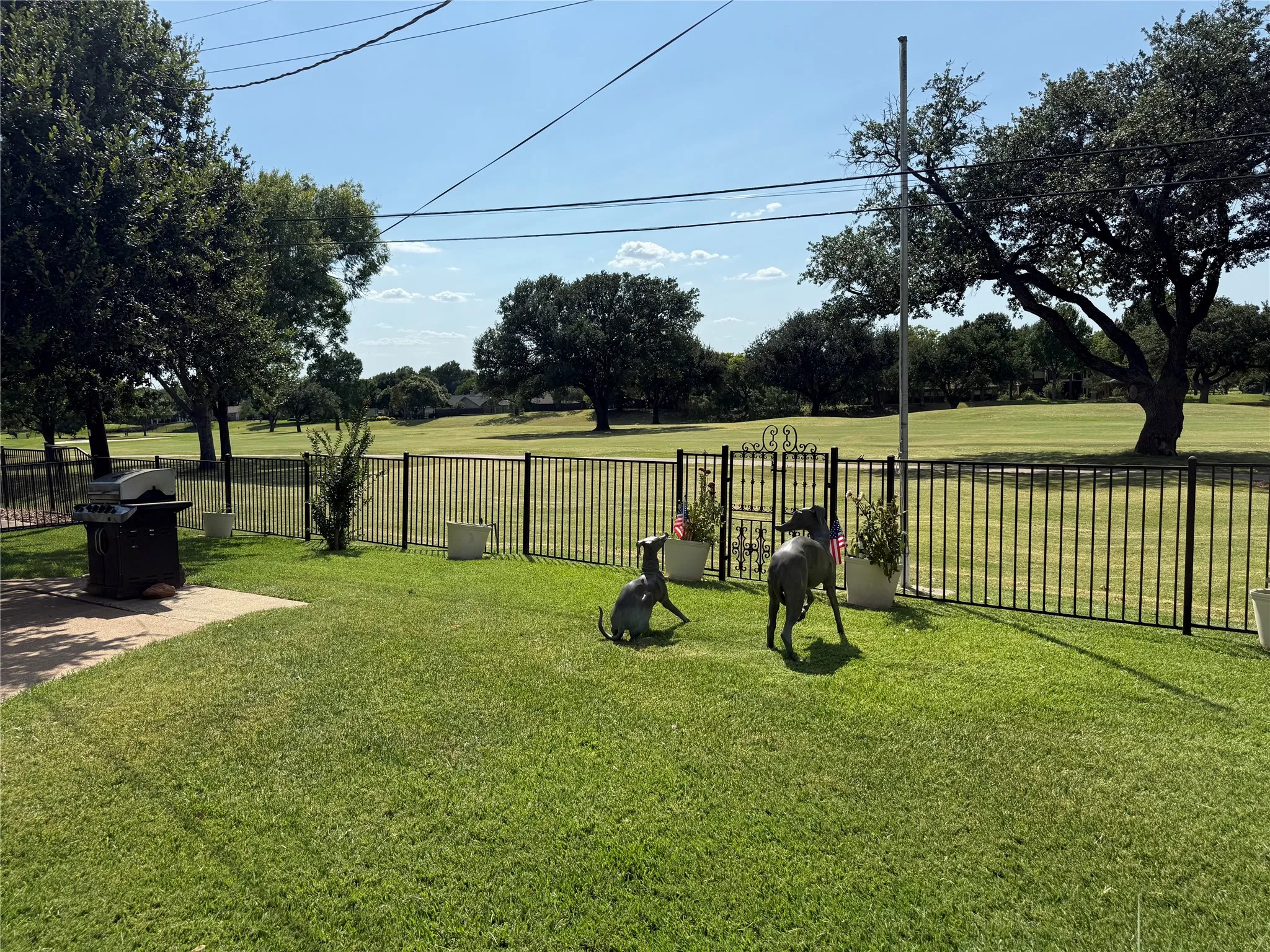 Expansive green lawn extending to a black metal fence with an ornate gate