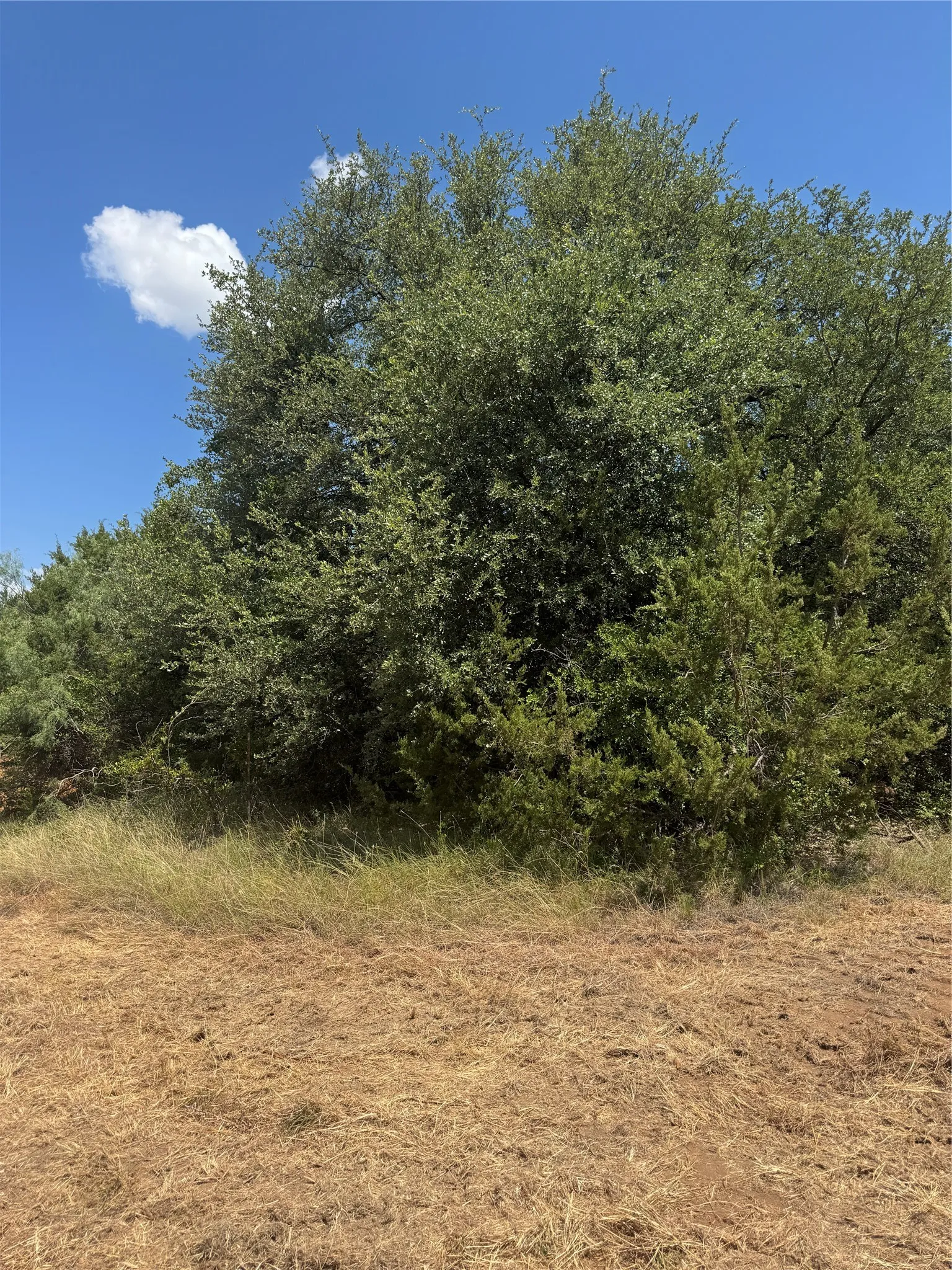 Unimproved Land For Sale in Hood County , 3530 Acton Highway, Granbury, Texas 76049, 0, 0, Garage spaces, 0 Sqft, built in 0, mls#21328523, Real Estate Agent in Granbury, Homes For Sale in Hood county, Homes For Sale in Granbury, Realtor in Granbury Texas, Real Estate Brokerage Independent Realty Texas, Luminita Cordes Realtor