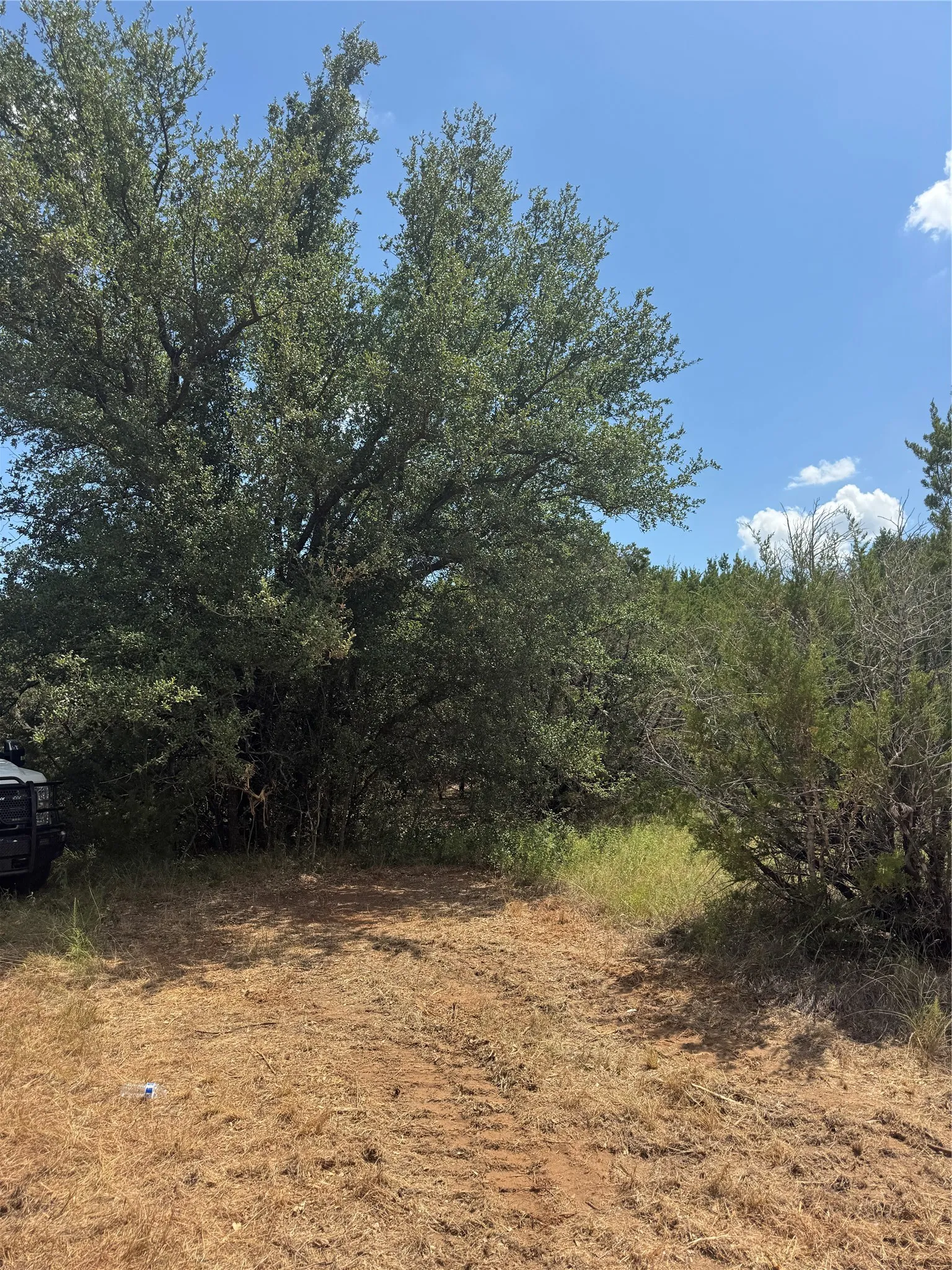 Unimproved Land For Sale in Hood County , 3530 Acton Highway, Granbury, Texas 76049, 0, 0, Garage spaces, 0 Sqft, built in 0, mls#21328523, Real Estate Agent in Granbury, Homes For Sale in Hood county, Homes For Sale in Granbury, Realtor in Granbury Texas, Real Estate Brokerage Independent Realty Texas, Luminita Cordes Realtor