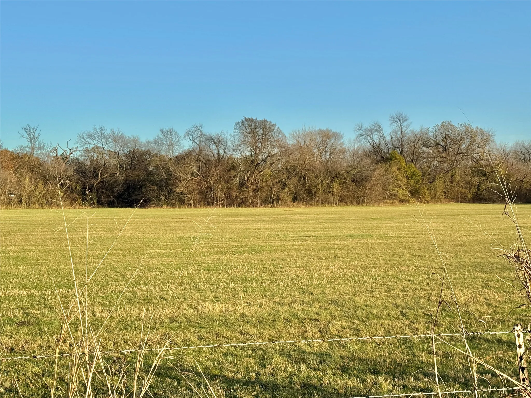 Unimproved Land For Sale in Cooke County , 738 Cole Street, Gainesville, Texas 76240, 0, 0, Garage spaces, 0 Sqft, built in 0, Price $475,000, mls#21328533, Real Estate Agent in Gainesville, Homes For Sale in Cooke county, Homes For Sale in Gainesville, Realtor in Gainesville Texas, Real Estate Brokerage Independent Realty Texas, Luminita Cordes Realtor