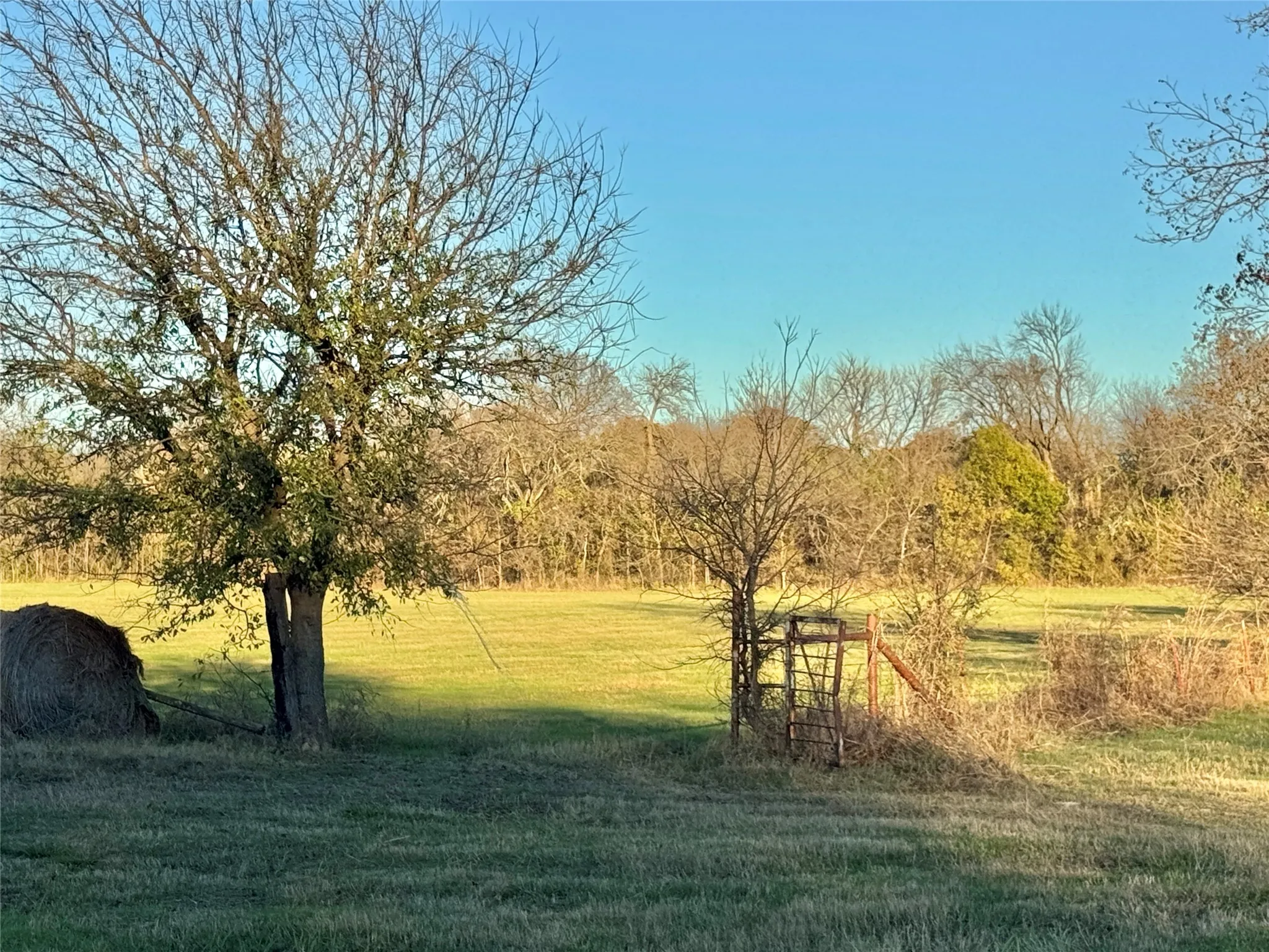 Unimproved Land For Sale in Cooke County , 738 Cole Street, Gainesville, Texas 76240, 0, 0, Garage spaces, 0 Sqft, built in 0, Price $475,000, mls#21328533, Real Estate Agent in Gainesville, Homes For Sale in Cooke county, Homes For Sale in Gainesville, Realtor in Gainesville Texas, Real Estate Brokerage Independent Realty Texas, Luminita Cordes Realtor