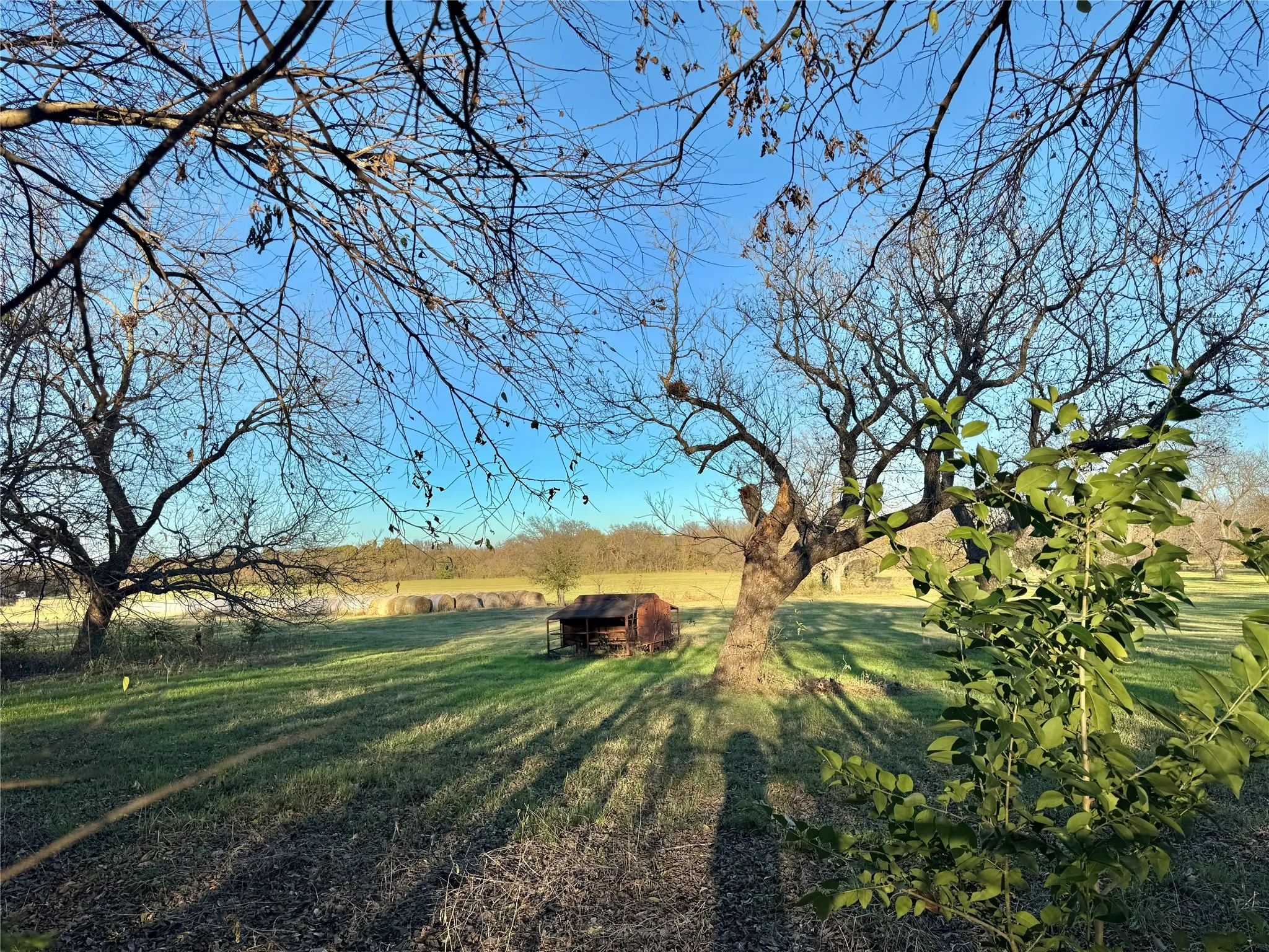 Unimproved Land For Sale in Cooke County , 738 Cole Street, Gainesville, Texas 76240, 0, 0, Garage spaces, 0 Sqft, built in 0, Price $475,000, mls#21328533, Real Estate Agent in Gainesville, Homes For Sale in Cooke county, Homes For Sale in Gainesville, Realtor in Gainesville Texas, Real Estate Brokerage Independent Realty Texas, Luminita Cordes Realtor