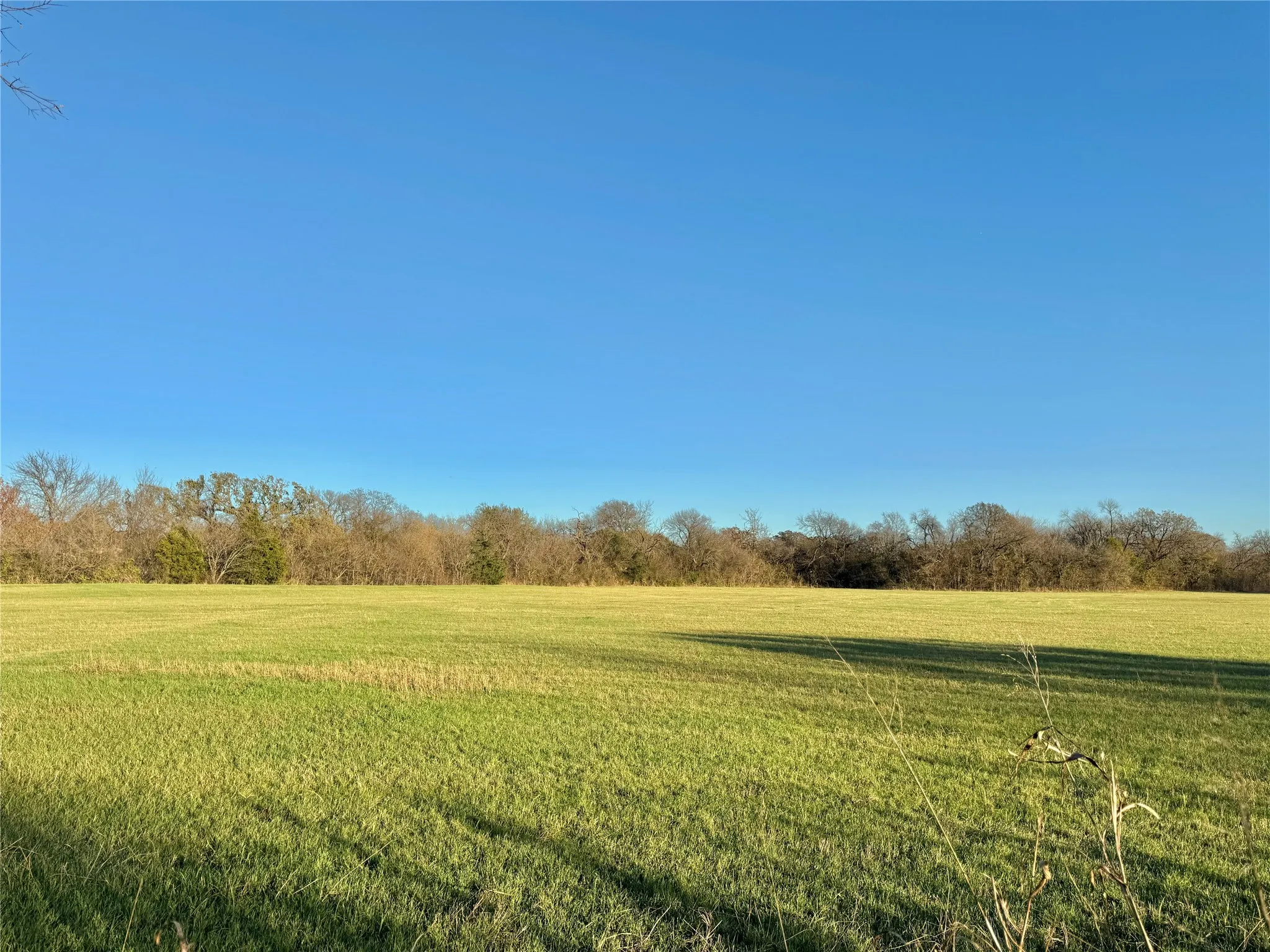 Unimproved Land For Sale in Cooke County , 738 Cole Street, Gainesville, Texas 76240, 0, 0, Garage spaces, 0 Sqft, built in 0, Price $475,000, mls#21328533, Real Estate Agent in Gainesville, Homes For Sale in Cooke county, Homes For Sale in Gainesville, Realtor in Gainesville Texas, Real Estate Brokerage Independent Realty Texas, Luminita Cordes Realtor