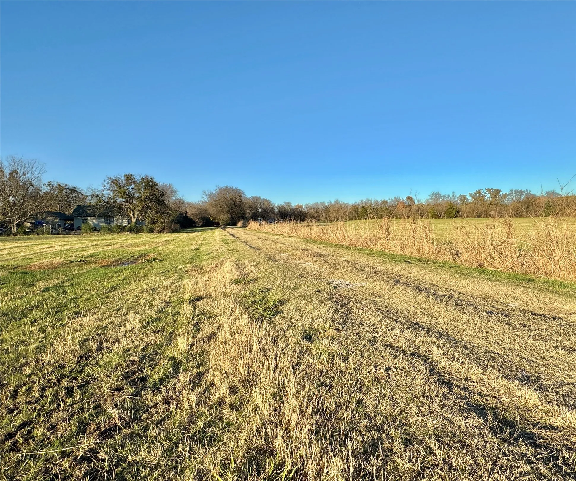 Unimproved Land For Sale in Cooke County , 738 Cole Street, Gainesville, Texas 76240, 0, 0, Garage spaces, 0 Sqft, built in 0, Price $475,000, mls#21328533, Real Estate Agent in Gainesville, Homes For Sale in Cooke county, Homes For Sale in Gainesville, Realtor in Gainesville Texas, Real Estate Brokerage Independent Realty Texas, Luminita Cordes Realtor