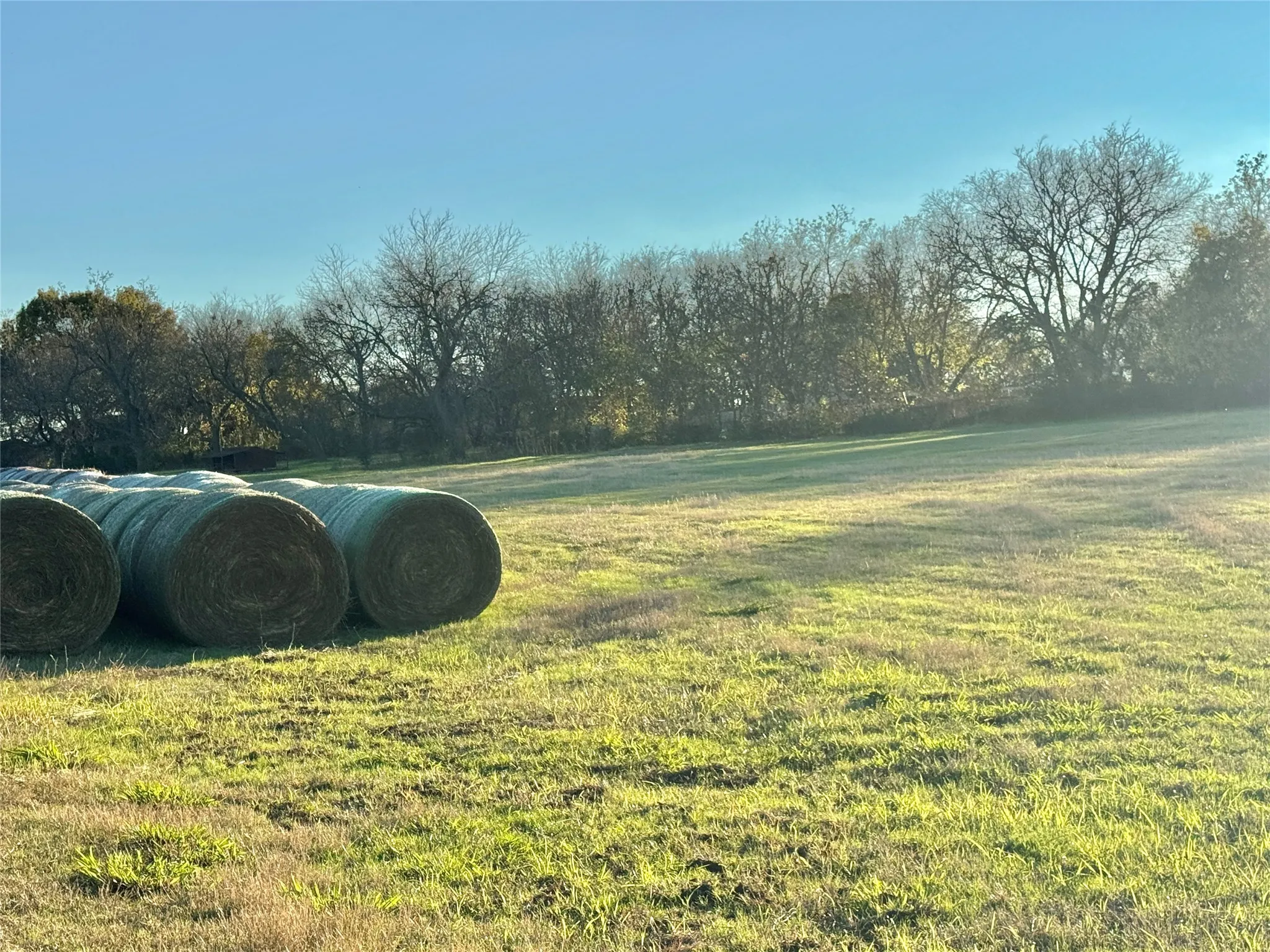 Unimproved Land For Sale in Cooke County , 738 Cole Street, Gainesville, Texas 76240, 0, 0, Garage spaces, 0 Sqft, built in 0, Price $475,000, mls#21328533, Real Estate Agent in Gainesville, Homes For Sale in Cooke county, Homes For Sale in Gainesville, Realtor in Gainesville Texas, Real Estate Brokerage Independent Realty Texas, Luminita Cordes Realtor
