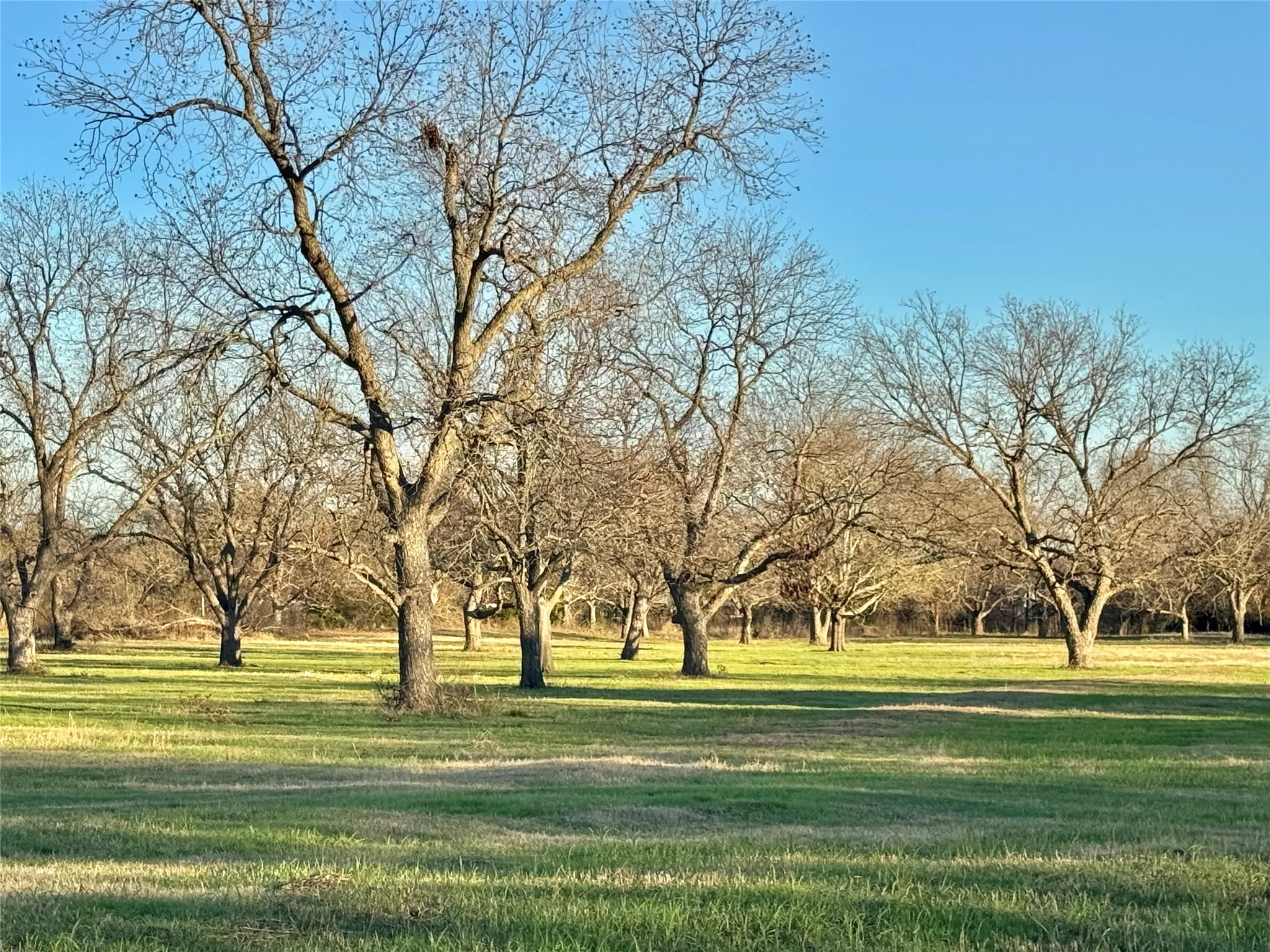 Unimproved Land For Sale in Cooke County , 738 Cole Street, Gainesville, Texas 76240, 0, 0, Garage spaces, 0 Sqft, built in 0, Price $475,000, mls#21328533, Real Estate Agent in Gainesville, Homes For Sale in Cooke county, Homes For Sale in Gainesville, Realtor in Gainesville Texas, Real Estate Brokerage Independent Realty Texas, Luminita Cordes Realtor