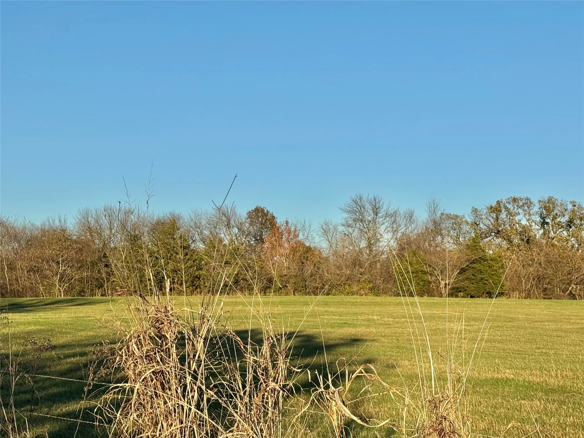 Unimproved Land For Sale in Cooke County , 738 Cole Street, Gainesville, Texas 76240, 0, 0, Garage spaces, 0 Sqft, built in 0, Price $475,000, mls#21328533, Real Estate Agent in Gainesville, Homes For Sale in Cooke county, Homes For Sale in Gainesville, Realtor in Gainesville Texas, Real Estate Brokerage Independent Realty Texas, Luminita Cordes Realtor