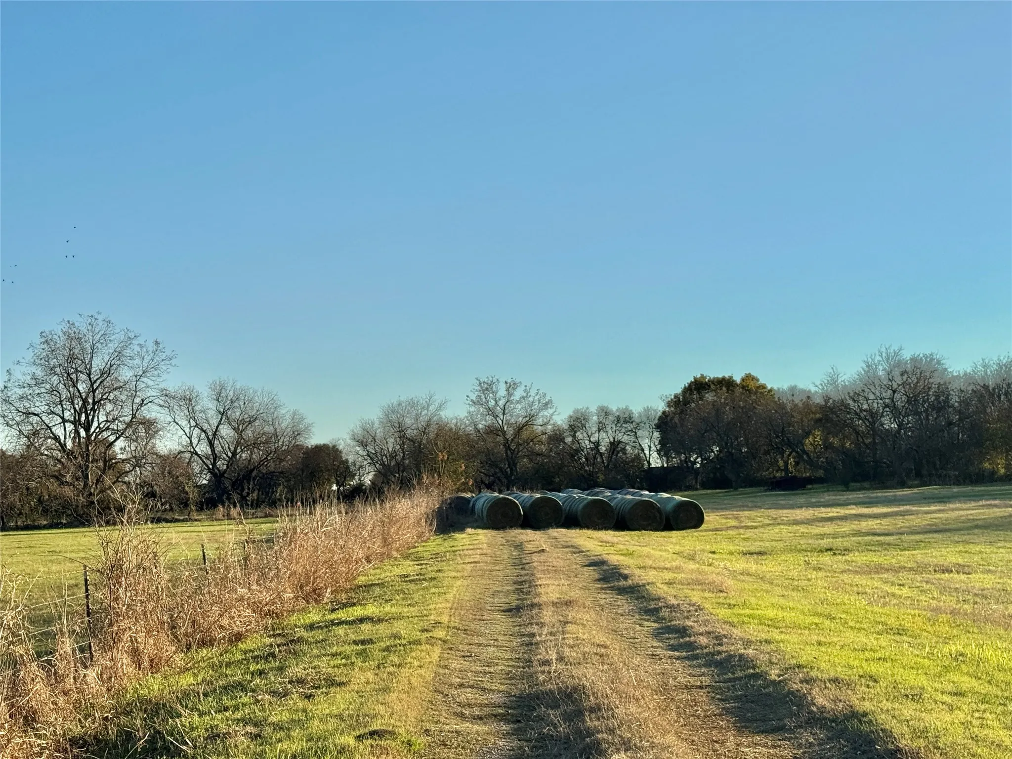 Unimproved Land For Sale in Cooke County , 738 Cole Street, Gainesville, Texas 76240, 0, 0, Garage spaces, 0 Sqft, built in 0, Price $475,000, mls#21328533, Real Estate Agent in Gainesville, Homes For Sale in Cooke county, Homes For Sale in Gainesville, Realtor in Gainesville Texas, Real Estate Brokerage Independent Realty Texas, Luminita Cordes Realtor