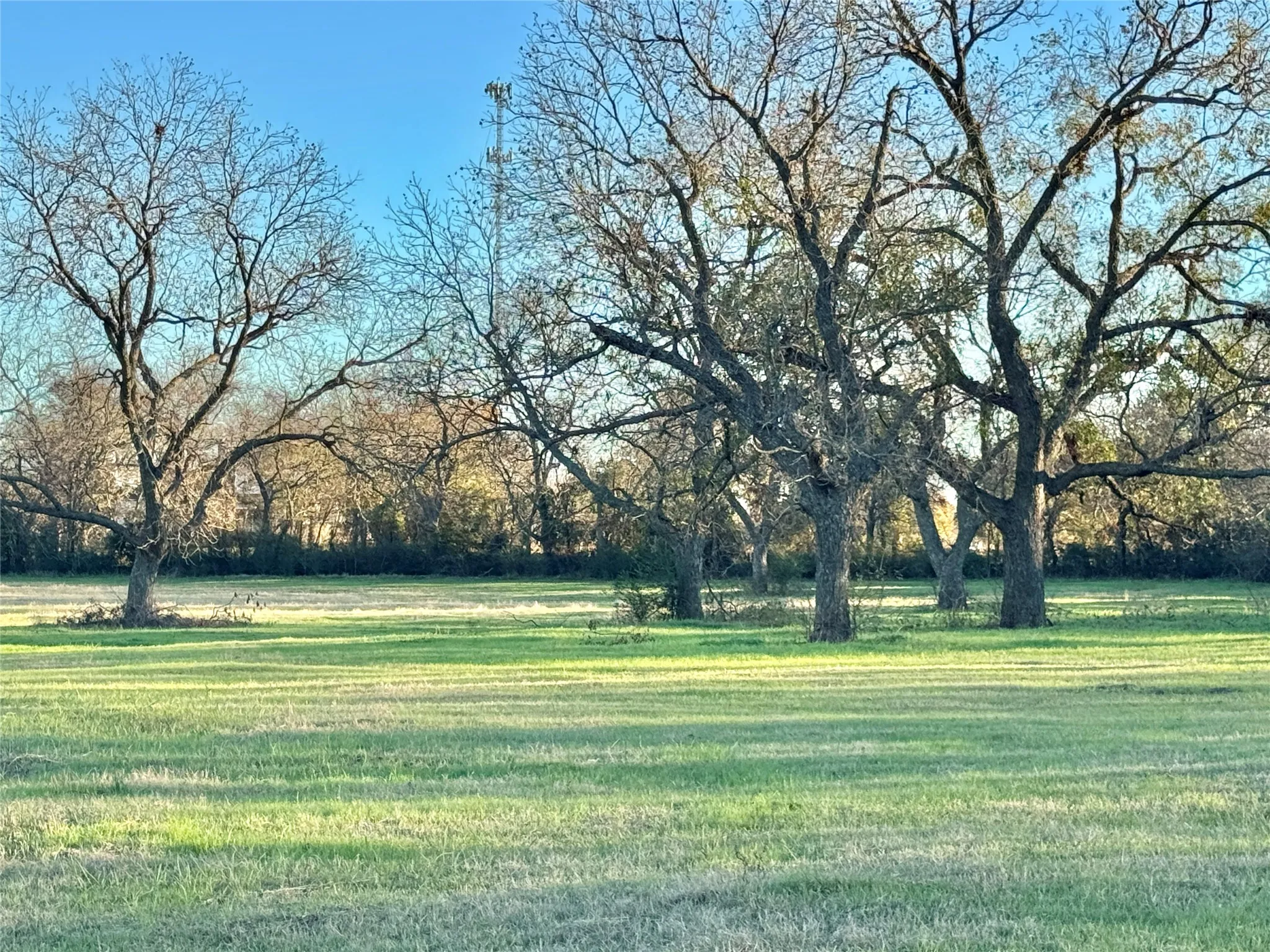 Unimproved Land For Sale in Cooke County , 738 Cole Street, Gainesville, Texas 76240, 0, 0, Garage spaces, 0 Sqft, built in 0, Price $475,000, mls#21328533, Real Estate Agent in Gainesville, Homes For Sale in Cooke county, Homes For Sale in Gainesville, Realtor in Gainesville Texas, Real Estate Brokerage Independent Realty Texas, Luminita Cordes Realtor