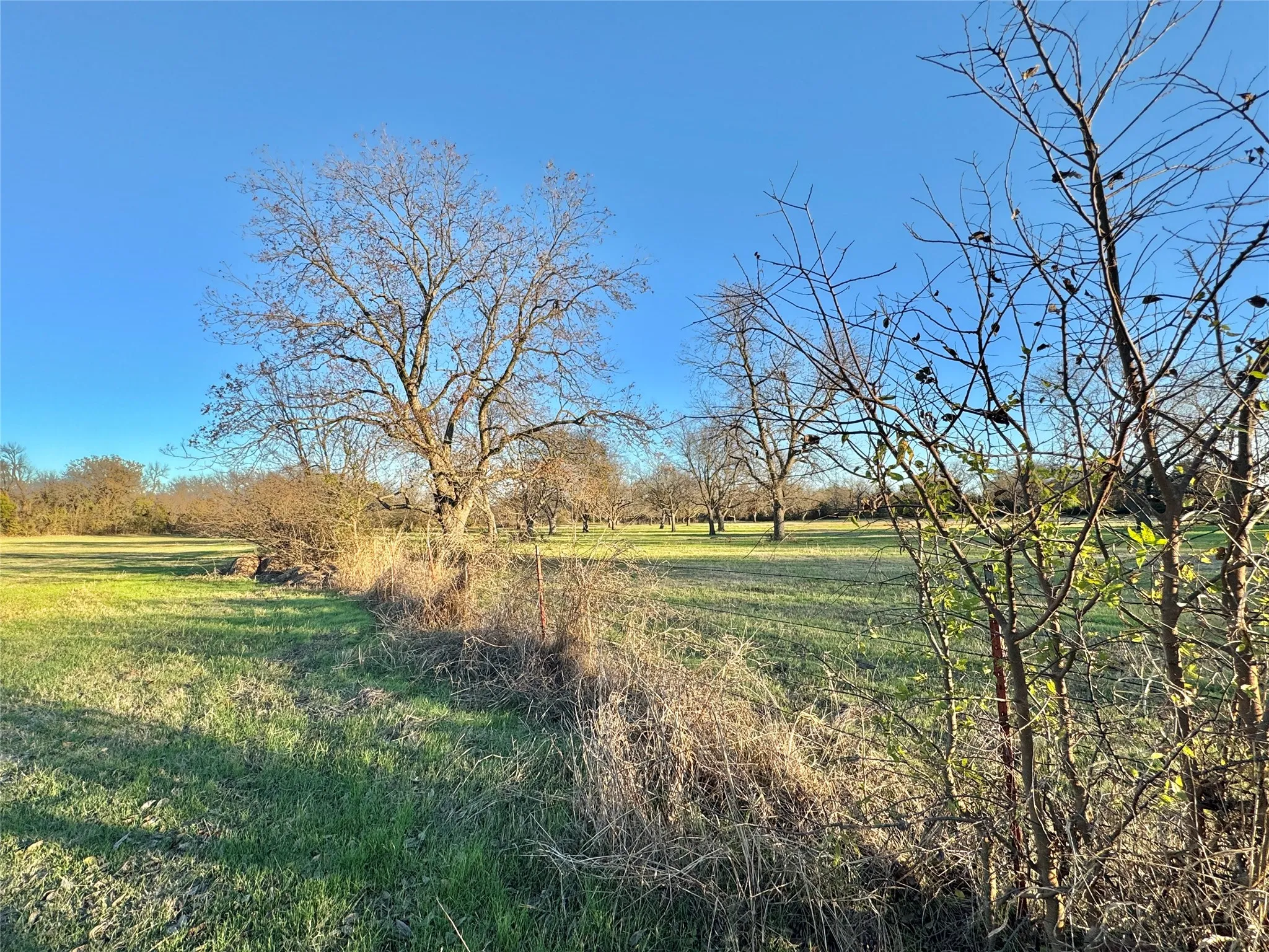 Unimproved Land For Sale in Cooke County , 738 Cole Street, Gainesville, Texas 76240, 0, 0, Garage spaces, 0 Sqft, built in 0, Price $475,000, mls#21328533, Real Estate Agent in Gainesville, Homes For Sale in Cooke county, Homes For Sale in Gainesville, Realtor in Gainesville Texas, Real Estate Brokerage Independent Realty Texas, Luminita Cordes Realtor