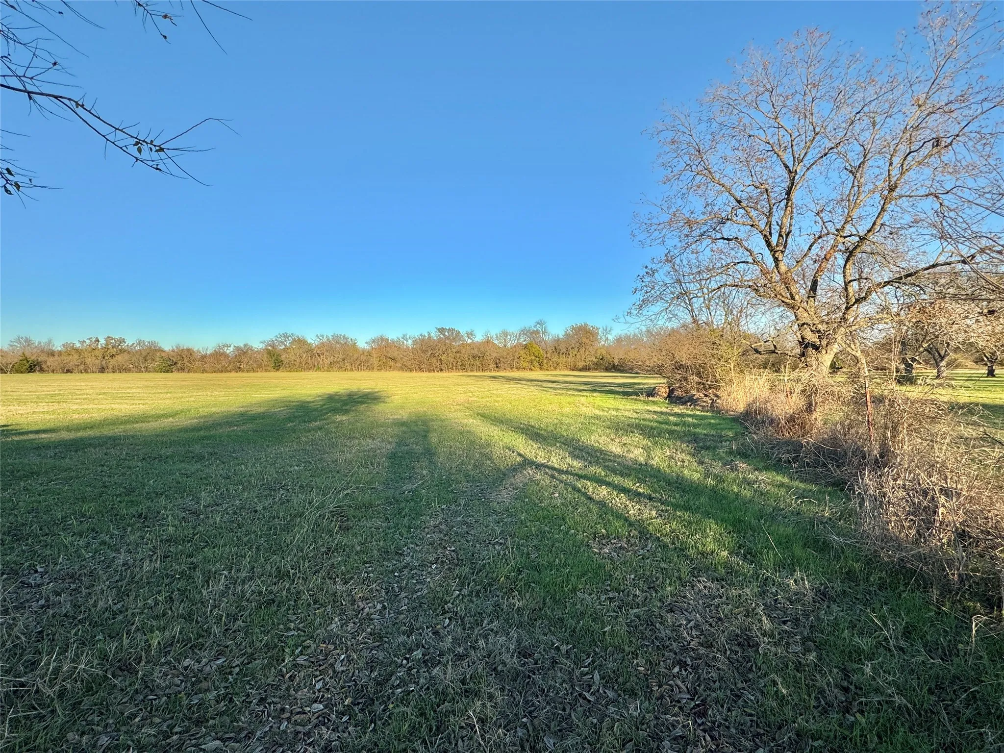 Unimproved Land For Sale in Cooke County , 738 Cole Street, Gainesville, Texas 76240, 0, 0, Garage spaces, 0 Sqft, built in 0, Price $475,000, mls#21328533, Real Estate Agent in Gainesville, Homes For Sale in Cooke county, Homes For Sale in Gainesville, Realtor in Gainesville Texas, Real Estate Brokerage Independent Realty Texas, Luminita Cordes Realtor