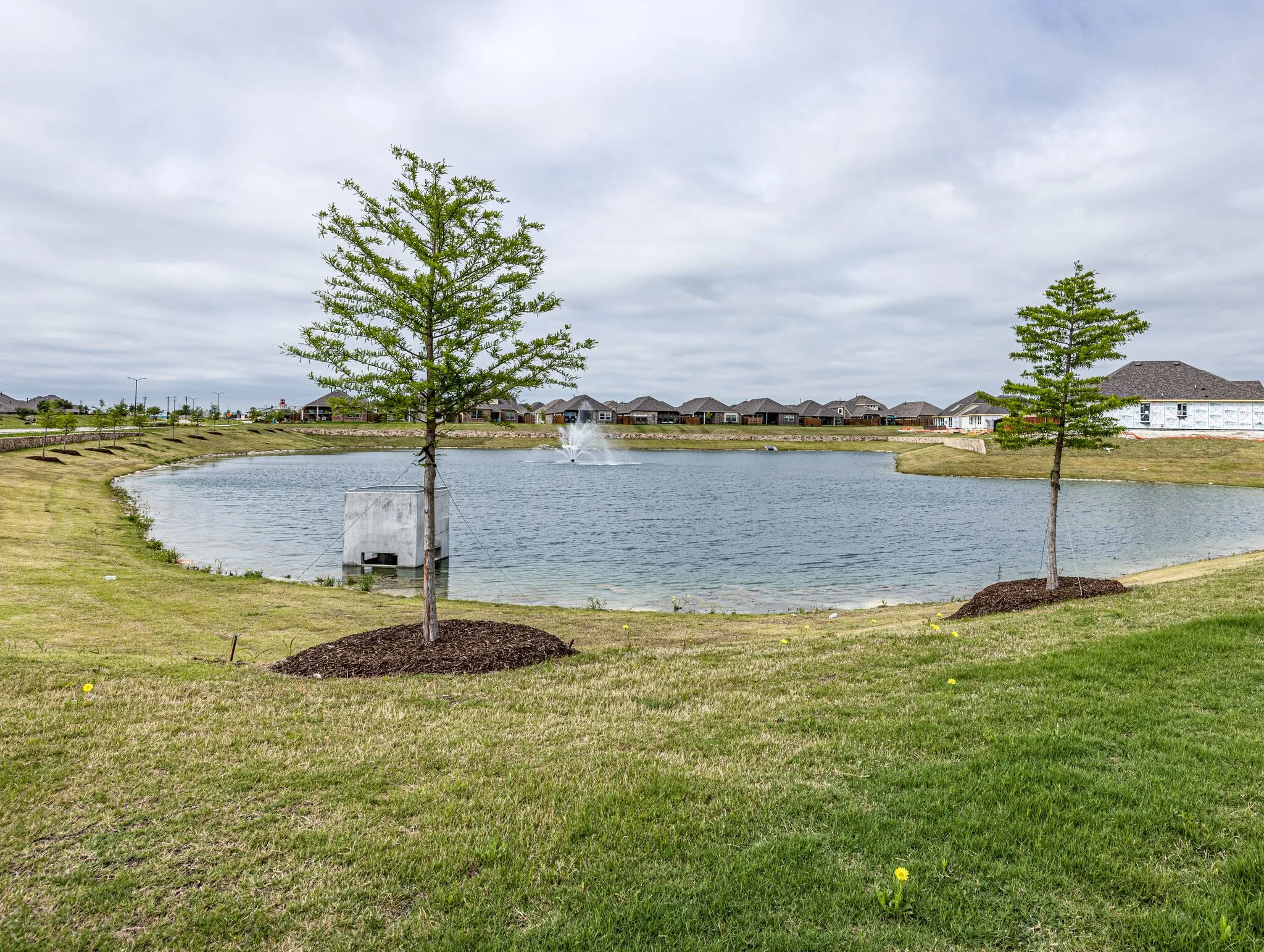 Single Family Residence For Rent in Collin County , 1516 Elizabeth Street, Anna, Texas 75409, 4 Bedroom, 2 Bathroom, 2 Garage spaces, 1,947 Sqft, built in 2021, mls#21328546, Real Estate Agent in Anna, Homes For Rent in Collin county, Homes For Rent in Anna, Realtor in Anna Texas, Real Estate Brokerage Independent Realty Texas, Luminita Cordes Realtor