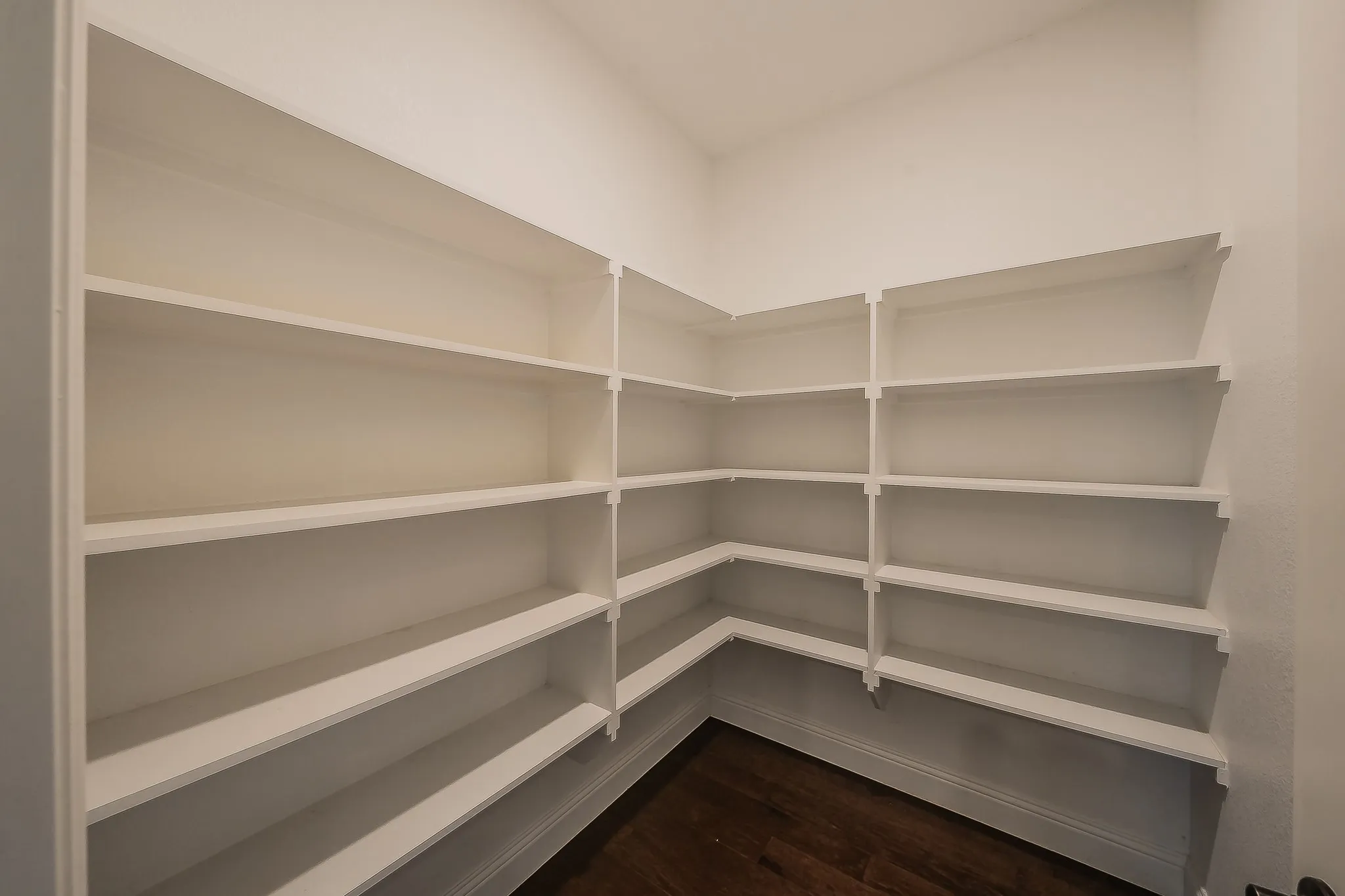 Expansive pantry featuring multi-level white shelving, wood-finish flooring, and white baseboards