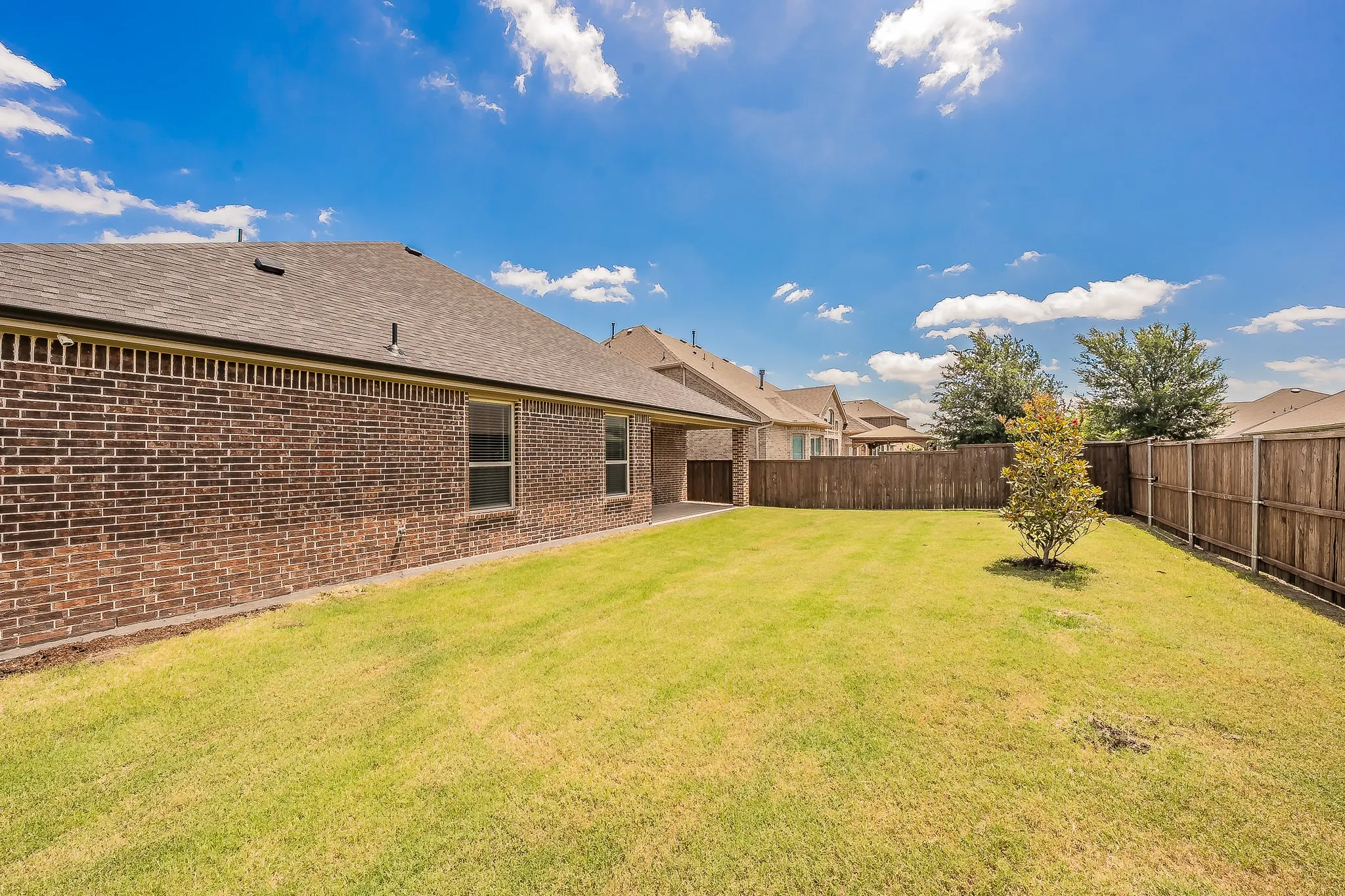 Expansive backyard featuring a manicured lawn, a young deciduous tree, and a full wood privacy fence
