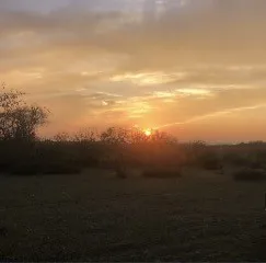 Farm For Sale in Comanche County , 1210 County Road 341, Dublin, Texas 76446, 1 Bedroom, 1 Bathroom, Garage spaces, 512 Sqft, built in 2021, mls#21328594, Real Estate Agent in Dublin, Homes For Sale in Comanche county, Homes For Sale in Dublin, Realtor in Dublin Texas, Real Estate Brokerage Independent Realty Texas, Luminita Cordes Realtor