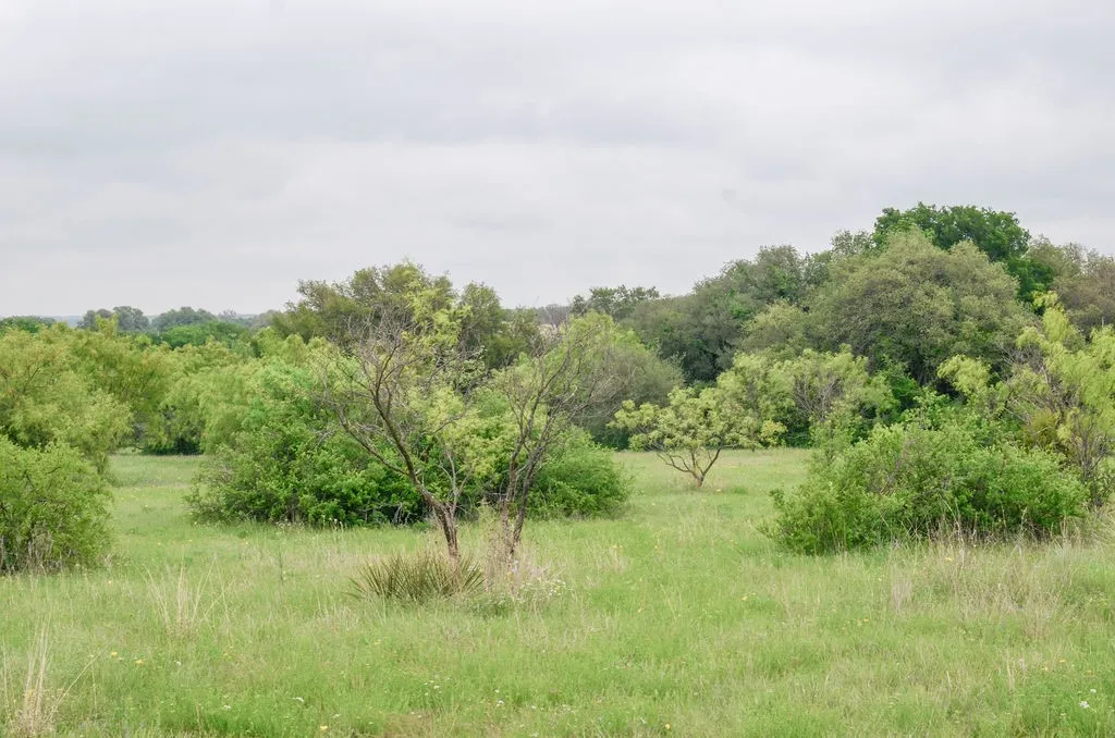 Farm For Sale in Comanche County , 1210 County Road 341, Dublin, Texas 76446, 1 Bedroom, 1 Bathroom, Garage spaces, 512 Sqft, built in 2021, mls#21328594, Real Estate Agent in Dublin, Homes For Sale in Comanche county, Homes For Sale in Dublin, Realtor in Dublin Texas, Real Estate Brokerage Independent Realty Texas, Luminita Cordes Realtor