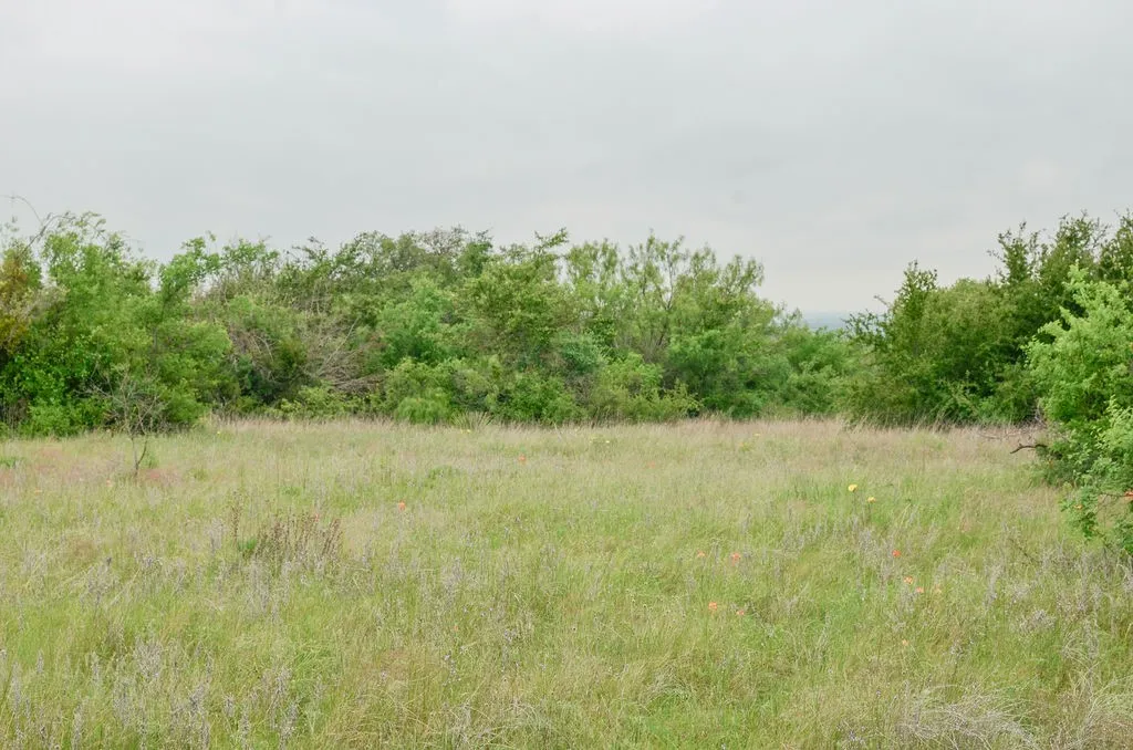 Farm For Sale in Comanche County , 1210 County Road 341, Dublin, Texas 76446, 1 Bedroom, 1 Bathroom, Garage spaces, 512 Sqft, built in 2021, mls#21328594, Real Estate Agent in Dublin, Homes For Sale in Comanche county, Homes For Sale in Dublin, Realtor in Dublin Texas, Real Estate Brokerage Independent Realty Texas, Luminita Cordes Realtor