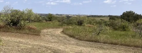 Farm For Sale in Comanche County , 1210 County Road 341, Dublin, Texas 76446, 1 Bedroom, 1 Bathroom, Garage spaces, 512 Sqft, built in 2021, mls#21328594, Real Estate Agent in Dublin, Homes For Sale in Comanche county, Homes For Sale in Dublin, Realtor in Dublin Texas, Real Estate Brokerage Independent Realty Texas, Luminita Cordes Realtor