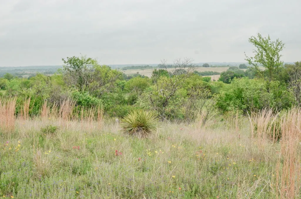 Farm For Sale in Comanche County , 1210 County Road 341, Dublin, Texas 76446, 1 Bedroom, 1 Bathroom, Garage spaces, 512 Sqft, built in 2021, mls#21328594, Real Estate Agent in Dublin, Homes For Sale in Comanche county, Homes For Sale in Dublin, Realtor in Dublin Texas, Real Estate Brokerage Independent Realty Texas, Luminita Cordes Realtor