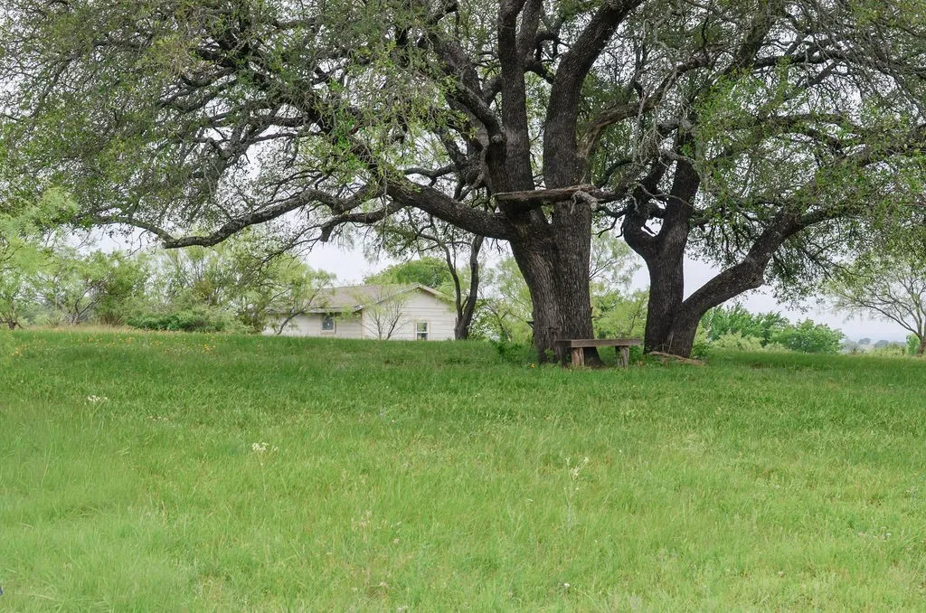 Farm For Sale in Comanche County , 1210 County Road 341, Dublin, Texas 76446, 1 Bedroom, 1 Bathroom, Garage spaces, 512 Sqft, built in 2021, mls#21328594, Real Estate Agent in Dublin, Homes For Sale in Comanche county, Homes For Sale in Dublin, Realtor in Dublin Texas, Real Estate Brokerage Independent Realty Texas, Luminita Cordes Realtor