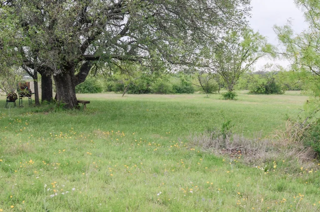 Farm For Sale in Comanche County , 1210 County Road 341, Dublin, Texas 76446, 1 Bedroom, 1 Bathroom, Garage spaces, 512 Sqft, built in 2021, mls#21328594, Real Estate Agent in Dublin, Homes For Sale in Comanche county, Homes For Sale in Dublin, Realtor in Dublin Texas, Real Estate Brokerage Independent Realty Texas, Luminita Cordes Realtor