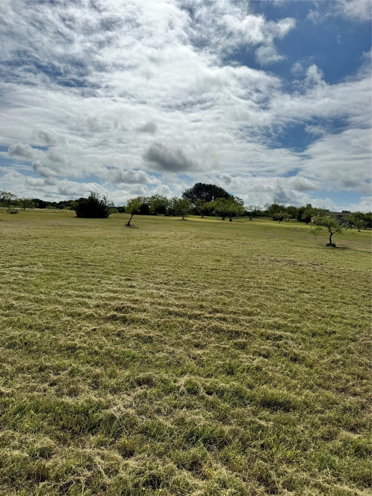Farm For Sale in Comanche County , 1210 County Road 341, Dublin, Texas 76446, 1 Bedroom, 1 Bathroom, Garage spaces, 512 Sqft, built in 2021, mls#21328594, Real Estate Agent in Dublin, Homes For Sale in Comanche county, Homes For Sale in Dublin, Realtor in Dublin Texas, Real Estate Brokerage Independent Realty Texas, Luminita Cordes Realtor