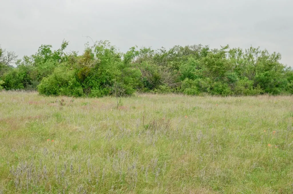 Farm For Sale in Comanche County , 1210 County Road 341, Dublin, Texas 76446, 1 Bedroom, 1 Bathroom, Garage spaces, 512 Sqft, built in 2021, mls#21328594, Real Estate Agent in Dublin, Homes For Sale in Comanche county, Homes For Sale in Dublin, Realtor in Dublin Texas, Real Estate Brokerage Independent Realty Texas, Luminita Cordes Realtor