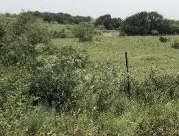 Farm For Sale in Comanche County , 1210 County Road 341, Dublin, Texas 76446, 1 Bedroom, 1 Bathroom, Garage spaces, 512 Sqft, built in 2021, mls#21328594, Real Estate Agent in Dublin, Homes For Sale in Comanche county, Homes For Sale in Dublin, Realtor in Dublin Texas, Real Estate Brokerage Independent Realty Texas, Luminita Cordes Realtor