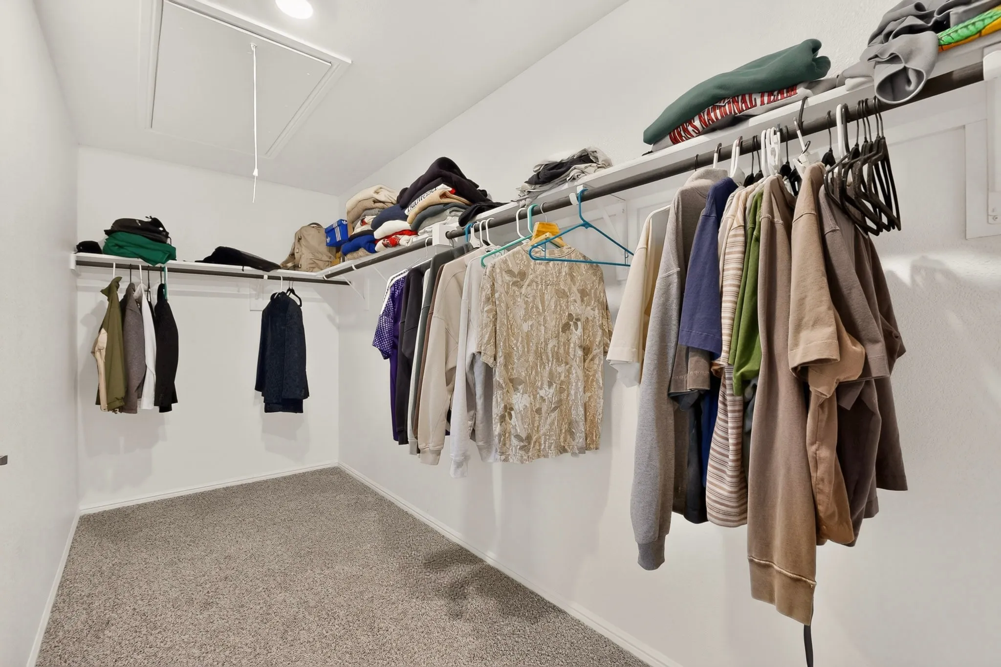 Walk-in closet featuring plush gray carpeting, white walls, built-in shelving, and multiple hanging rods
