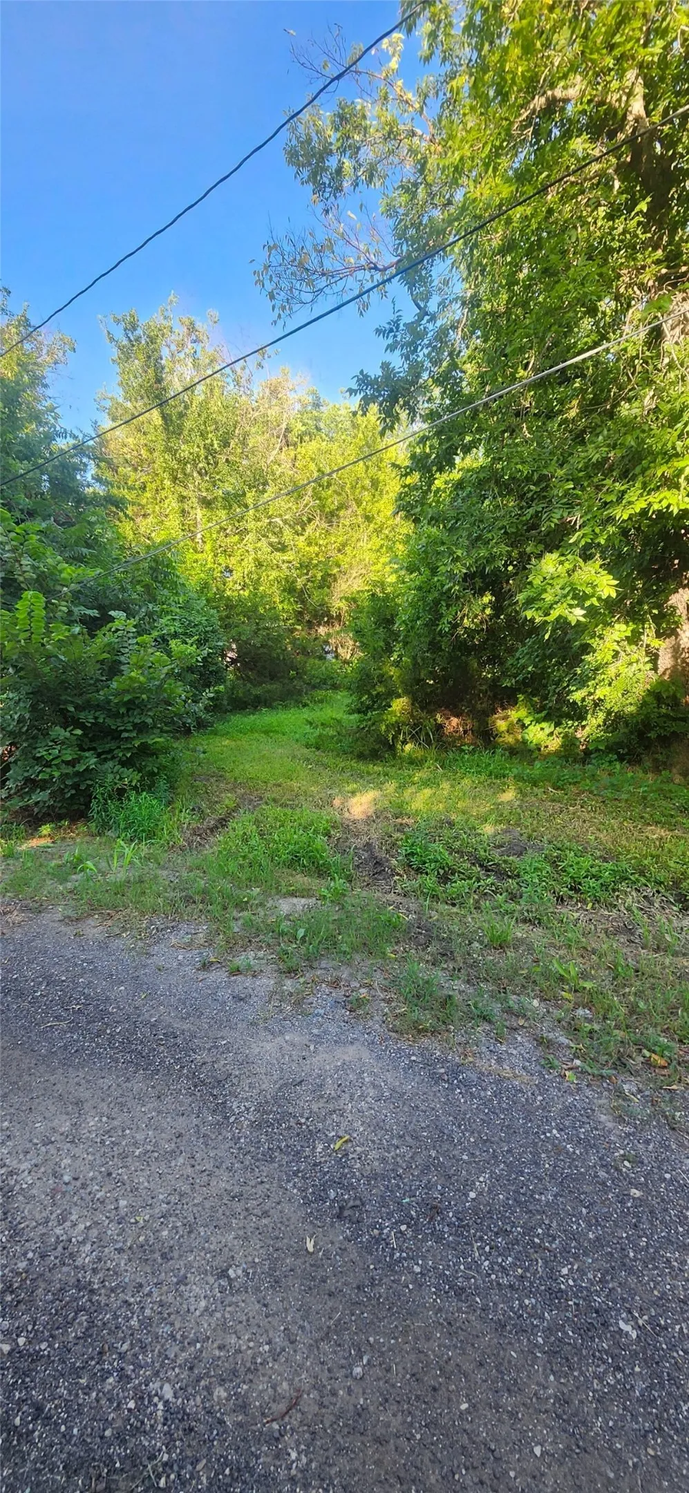 Improved Land For Sale in Hunt County , 1216 Saint John Street, Greenville, Texas 75401, 0, 0, Garage spaces, 0 Sqft, built in 0, mls#21328611, Real Estate Agent in Greenville, Homes For Sale in Hunt county, Homes For Sale in Greenville, Realtor in Greenville Texas, Real Estate Brokerage Independent Realty Texas, Luminita Cordes Realtor