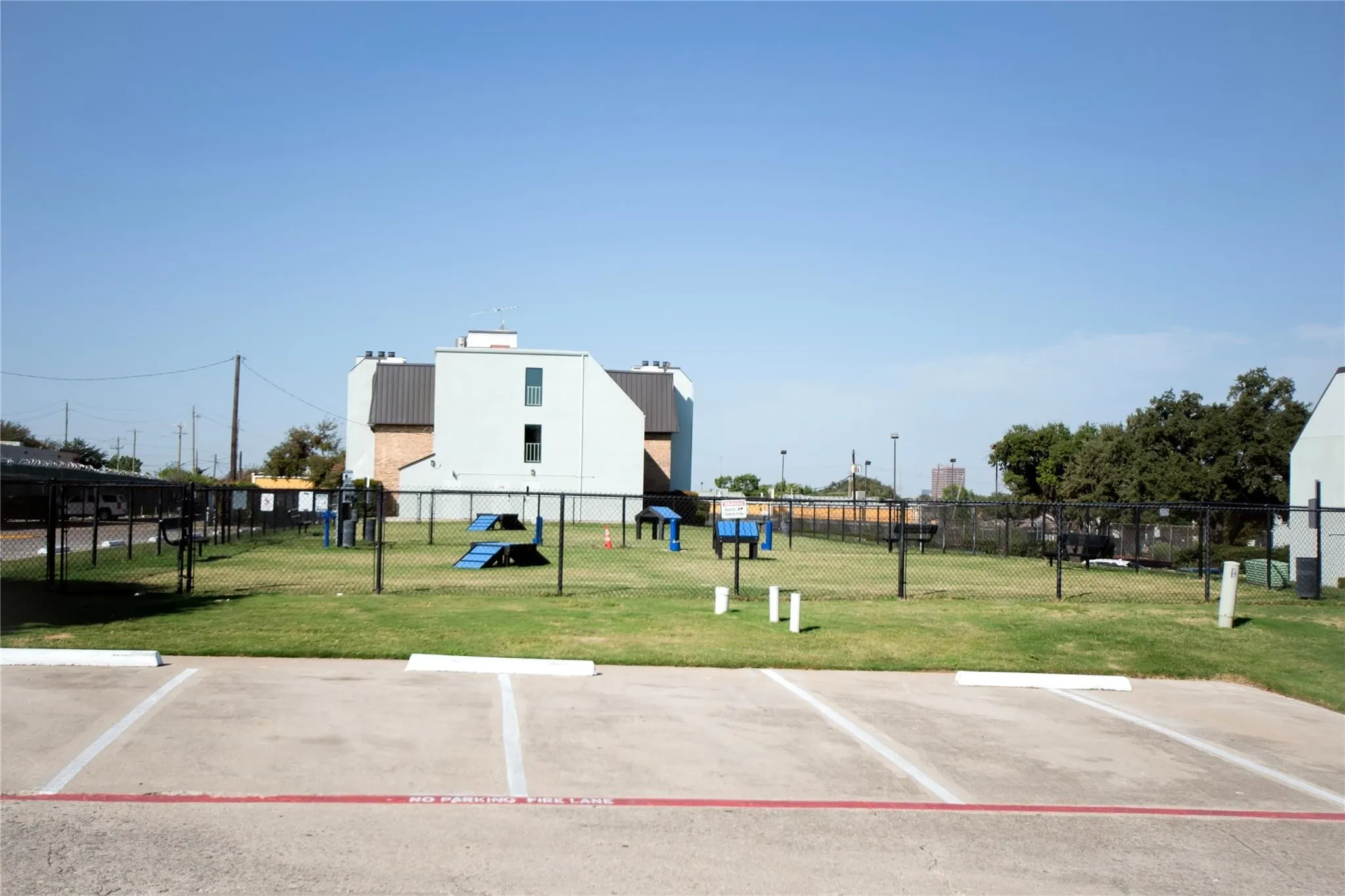dog play area