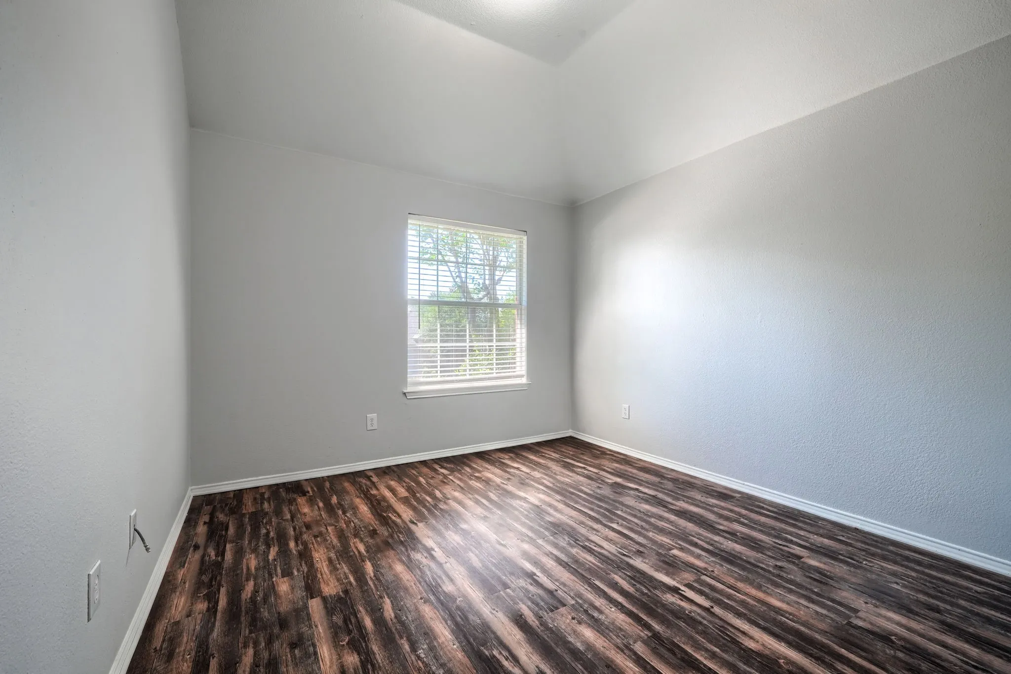 Spacious room featuring wood-finish flooring, light gray wall paint, and a tray ceiling