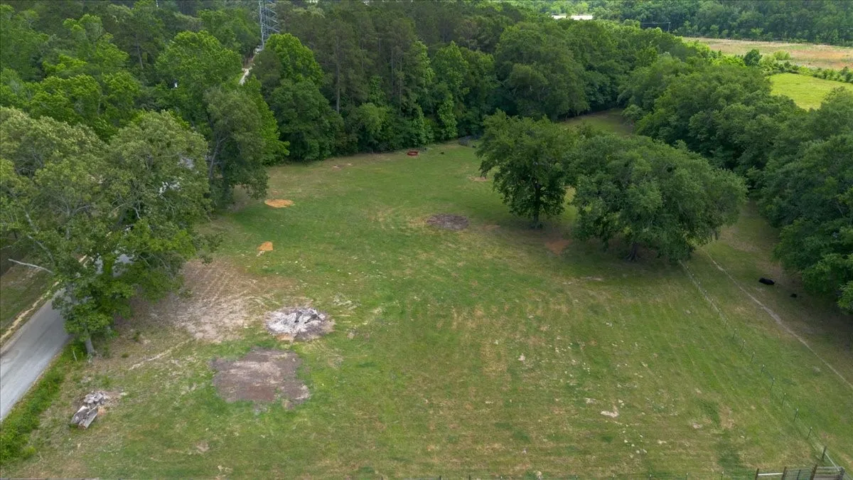 Expansive green parcel featuring mature trees, a paved roadway, and bordering woodlands