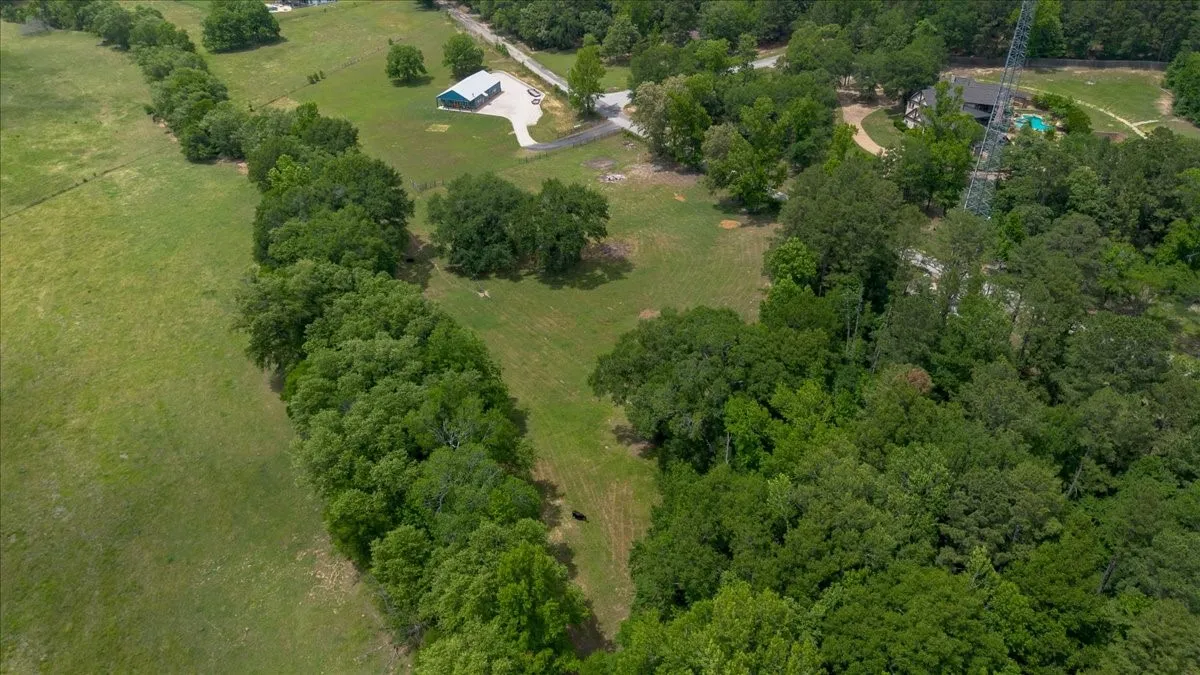 Expansive green pastureland with a tree line border