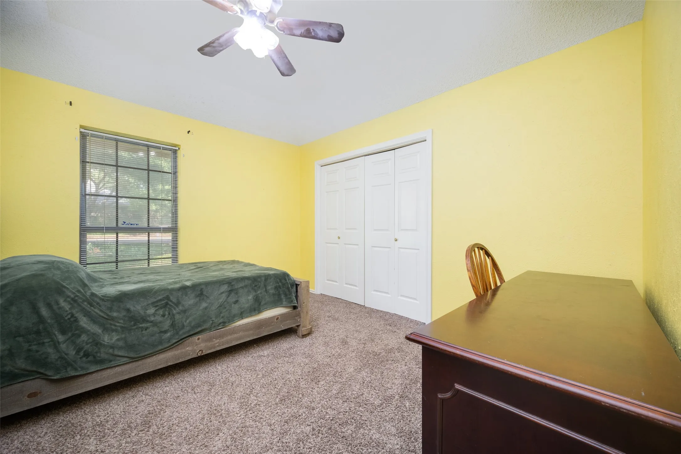 Carpeted room featuring a large window with blinds, ceiling fan with light fixture, and bifold closet doors