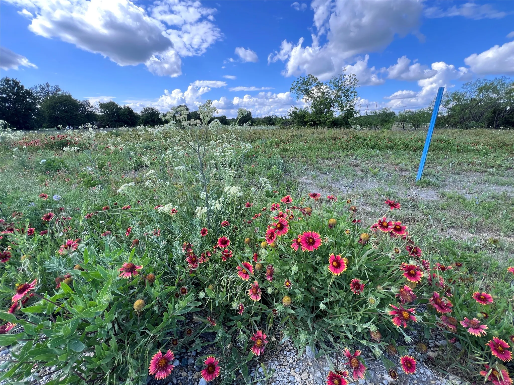 Unimproved Land For Sale in Callahan County , tbd Live Oak Trail, Clyde, Texas 79510, 0, 0, Garage spaces, 0 Sqft, built in 0, Price $73,000, mls#21328725, Real Estate Agent in Clyde, Homes For Sale in Callahan county, Homes For Sale in Clyde, Realtor in Clyde Texas, Real Estate Brokerage Independent Realty Texas, Luminita Cordes Realtor