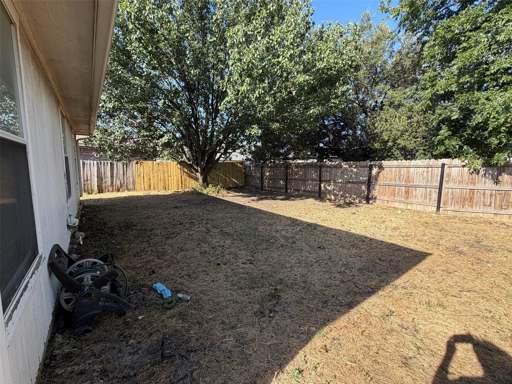 Back yard with large shade tree
