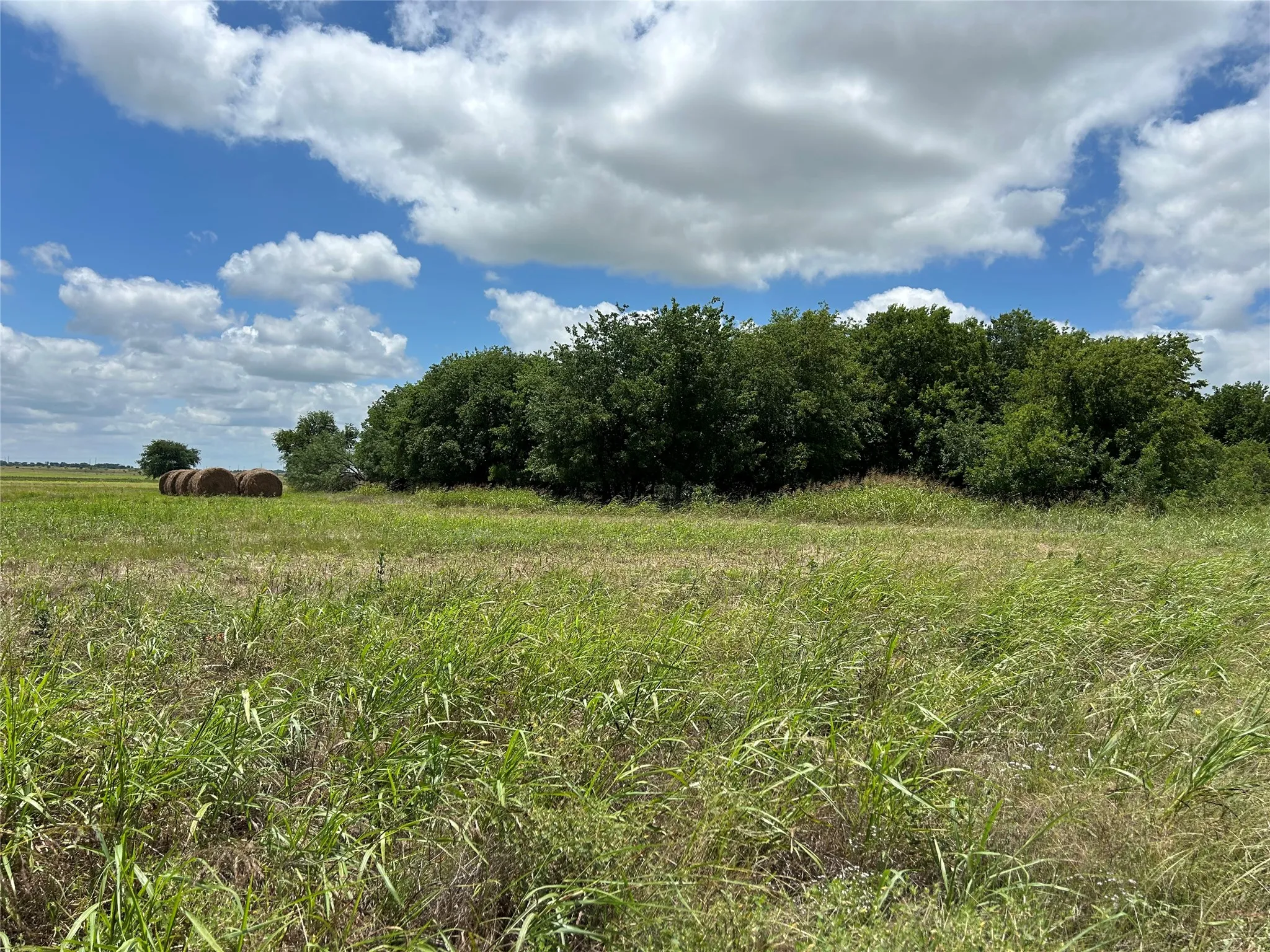 Unimproved Land For Sale in Bosque County , 1054 CR 3415, Clifton, Texas 76634, 0, 0, Garage spaces, 0 Sqft, built in 0, mls#21308311, Real Estate Agent in Clifton, Homes For Sale in Bosque county, Homes For Sale in Clifton, Realtor in Clifton Texas, Real Estate Brokerage Independent Realty Texas, Luminita Cordes Realtor