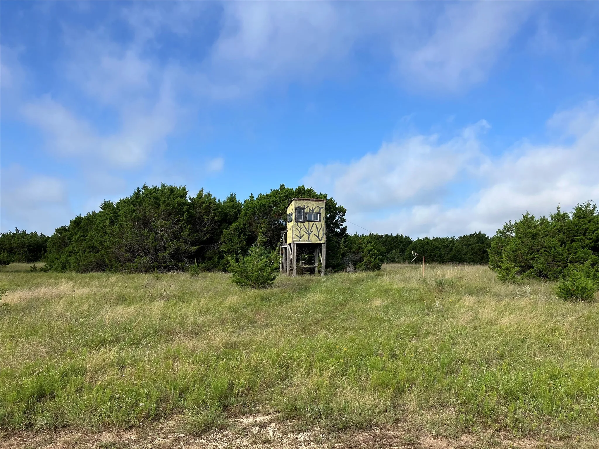 Unimproved Land For Sale in Bosque County , 1054 CR 3415, Clifton, Texas 76634, 0, 0, Garage spaces, 0 Sqft, built in 0, mls#21308311, Real Estate Agent in Clifton, Homes For Sale in Bosque county, Homes For Sale in Clifton, Realtor in Clifton Texas, Real Estate Brokerage Independent Realty Texas, Luminita Cordes Realtor